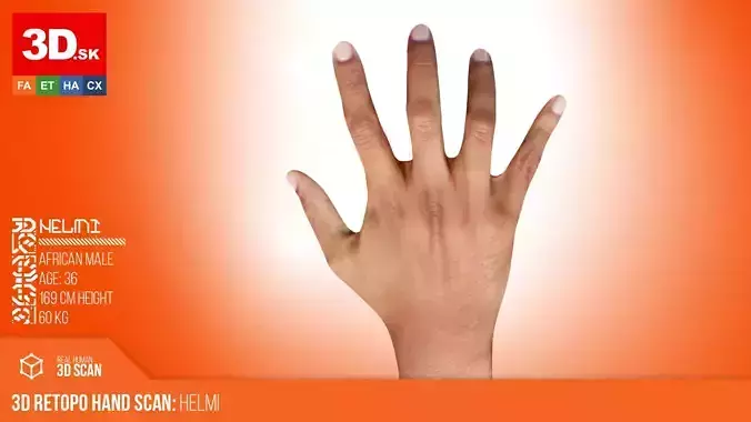 3D Retopologized Hand Scan Helmi