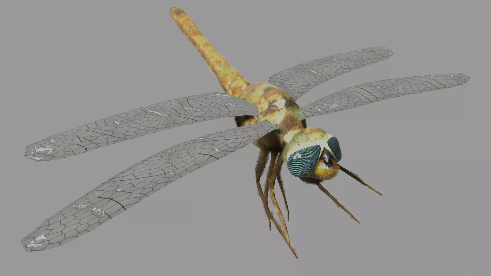 dragonfly Low-poly 3D model