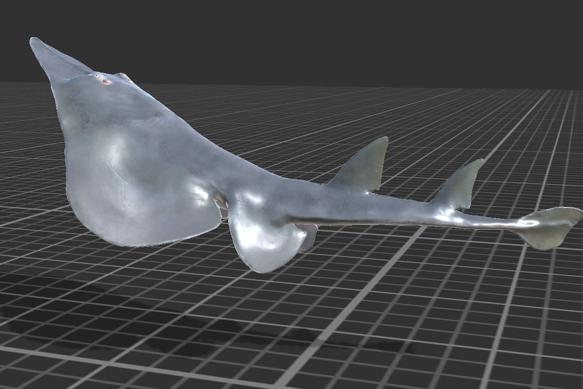 Guitar Stingray Low-poly 3D model_7