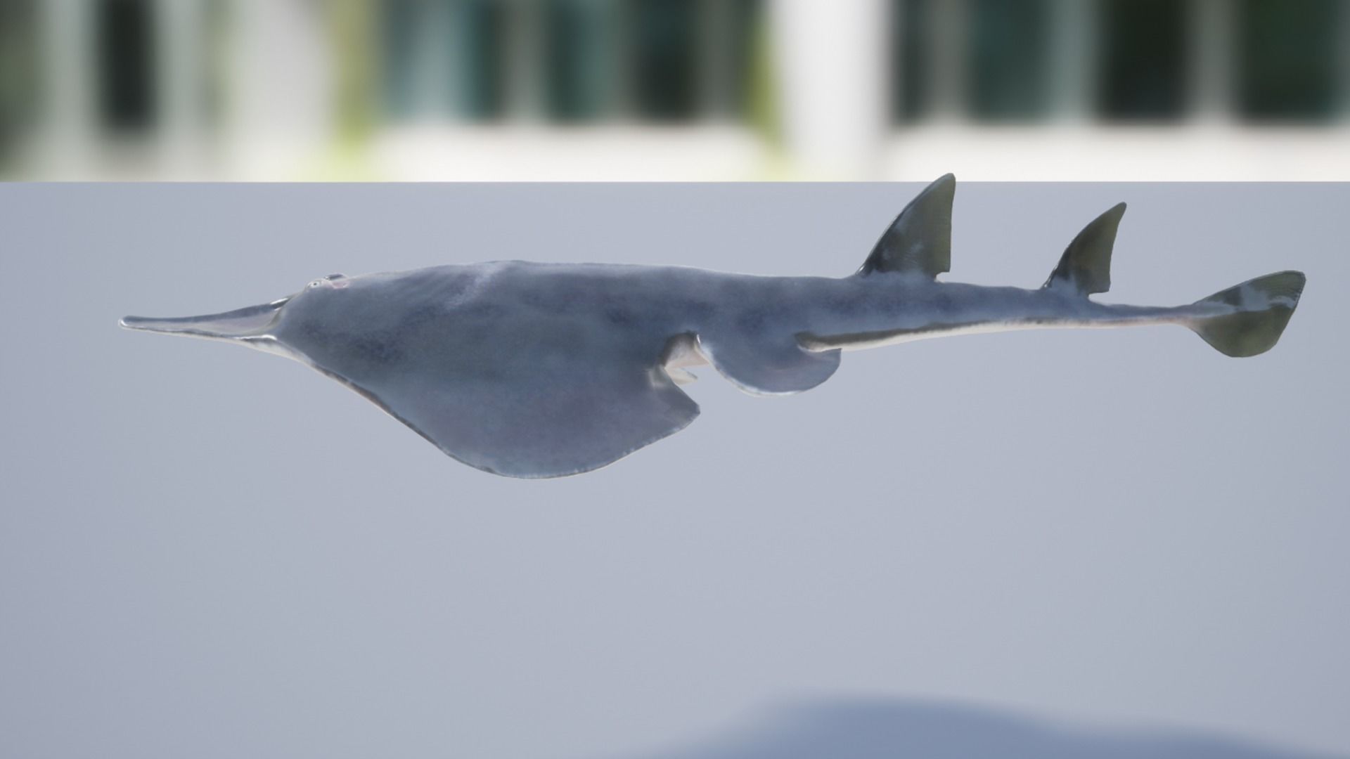 Guitar Stingray Low-poly 3D model_8