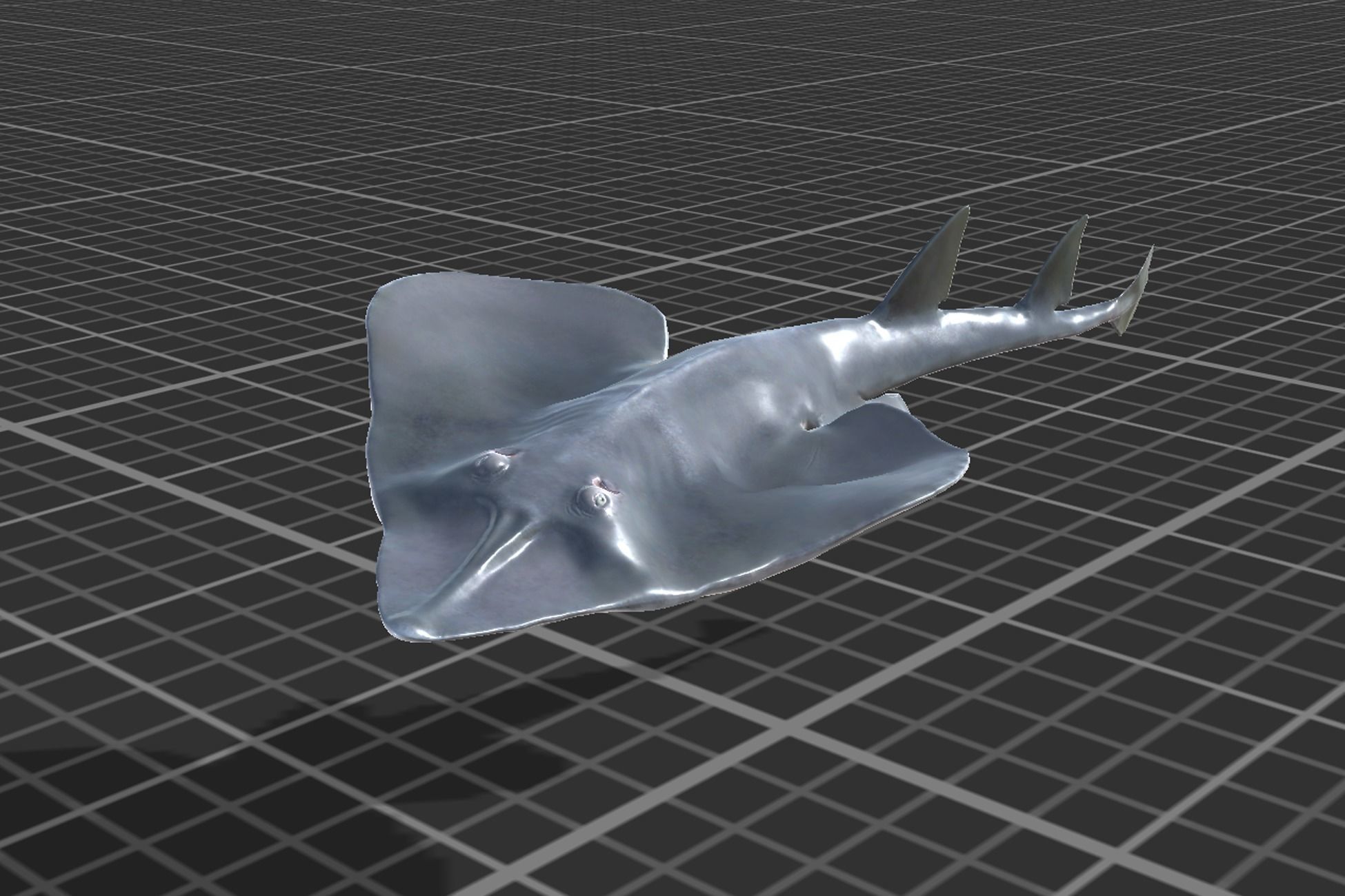 Guitar Stingray Low-poly 3D model_6