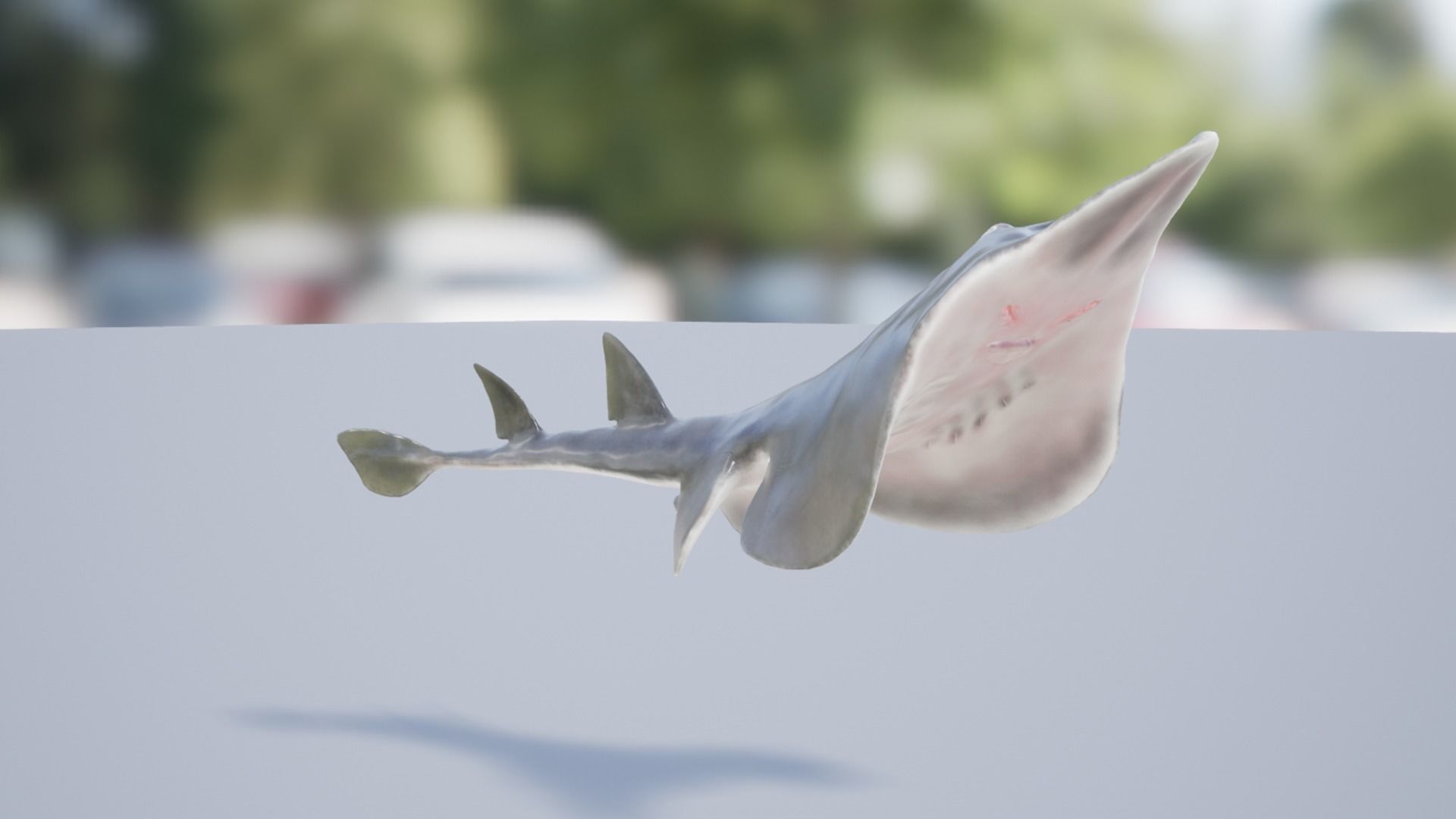 Guitar Stingray Low-poly 3D model_13