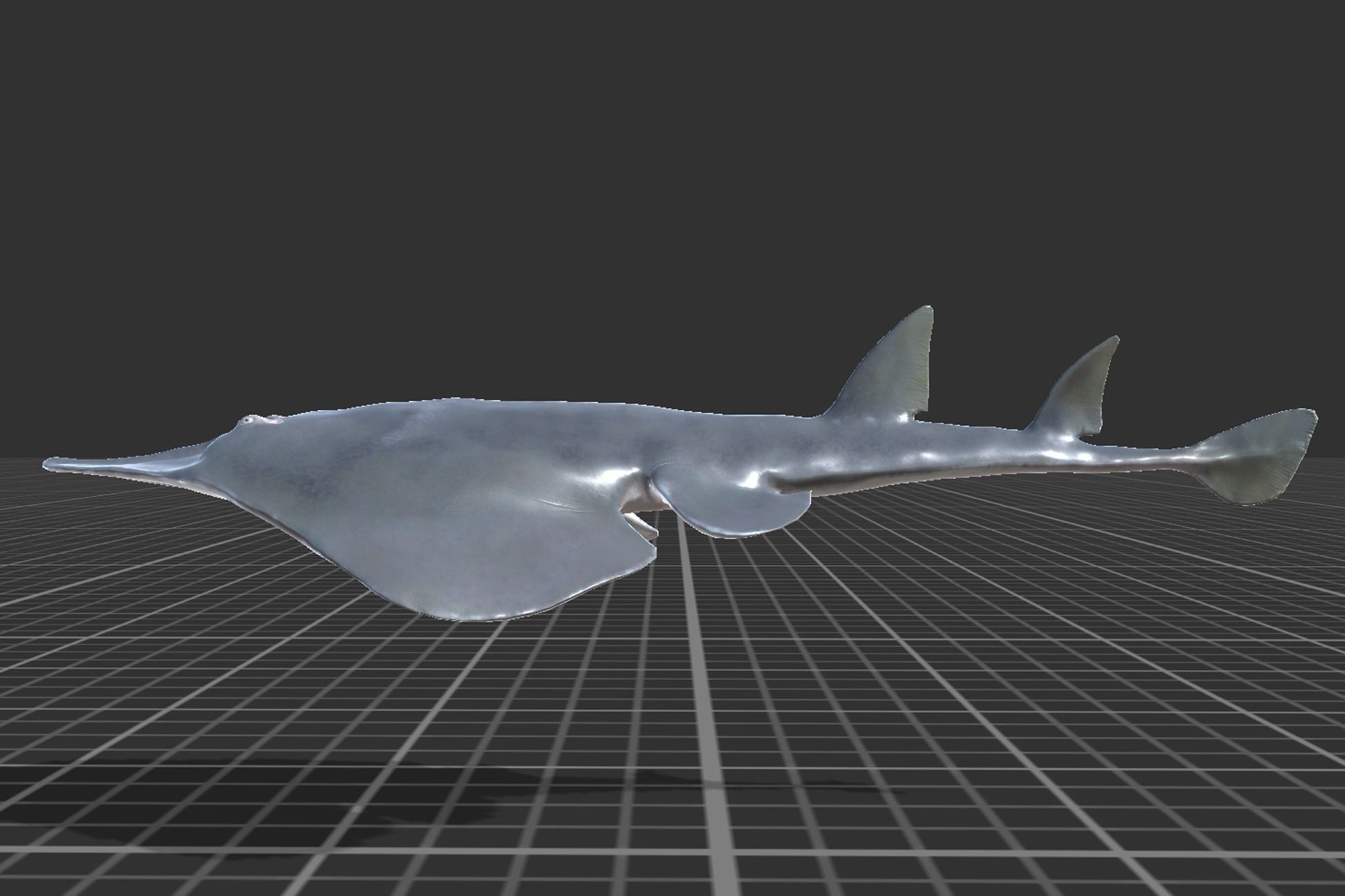 Guitar Stingray Low-poly 3D model_2