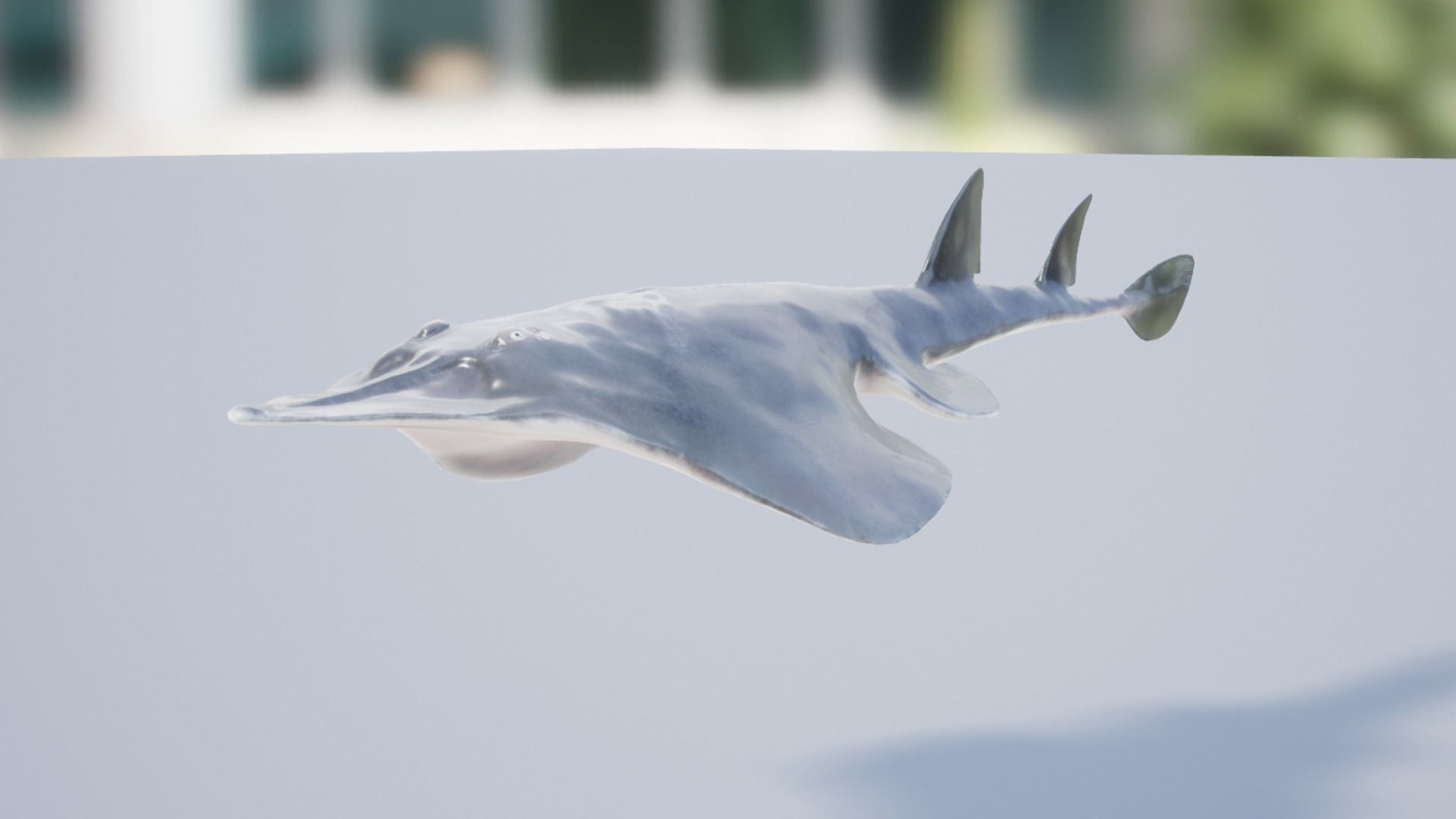 Guitar Stingray Low-poly 3D model_9