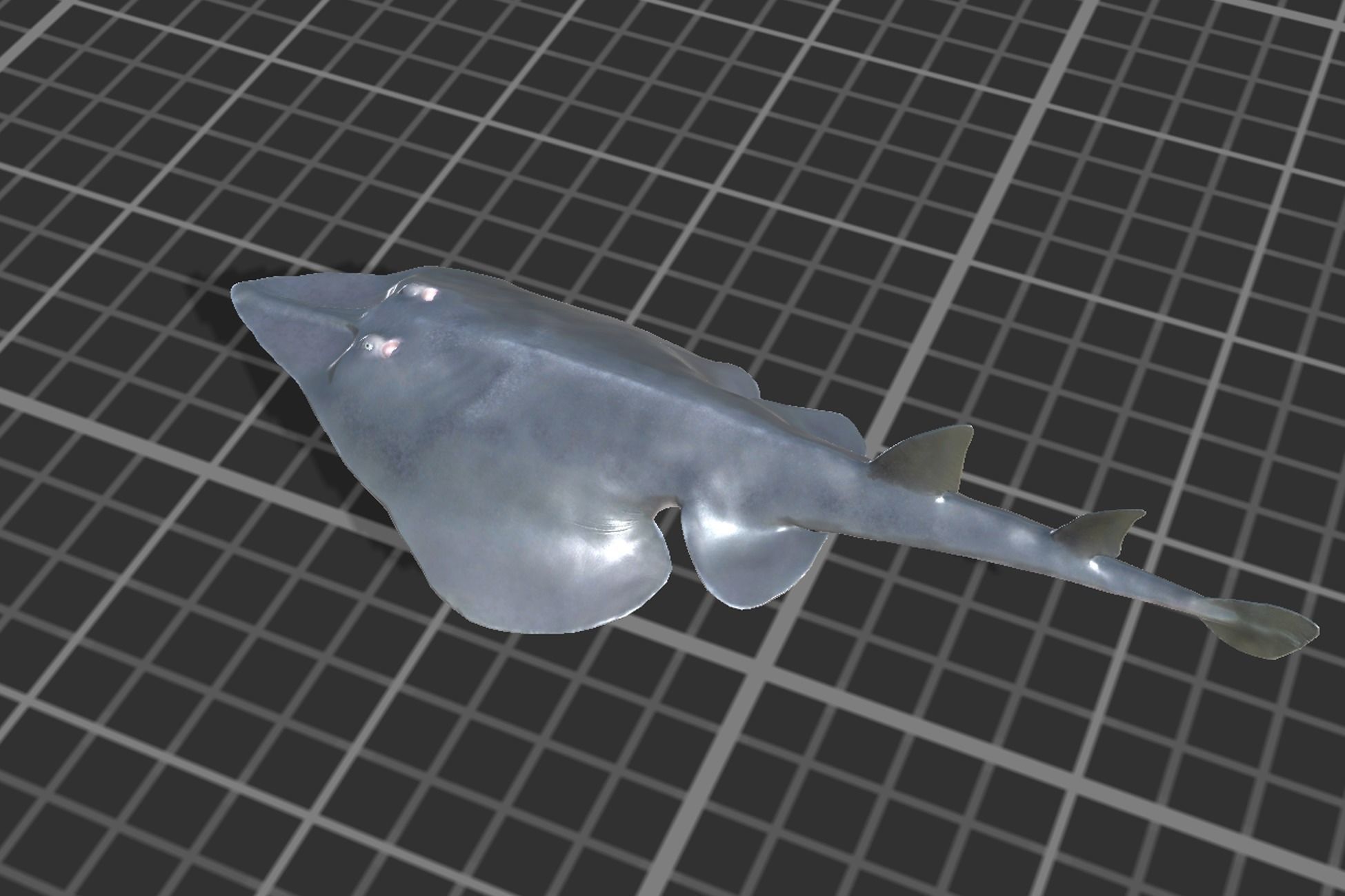 Guitar Stingray Low-poly 3D model_4