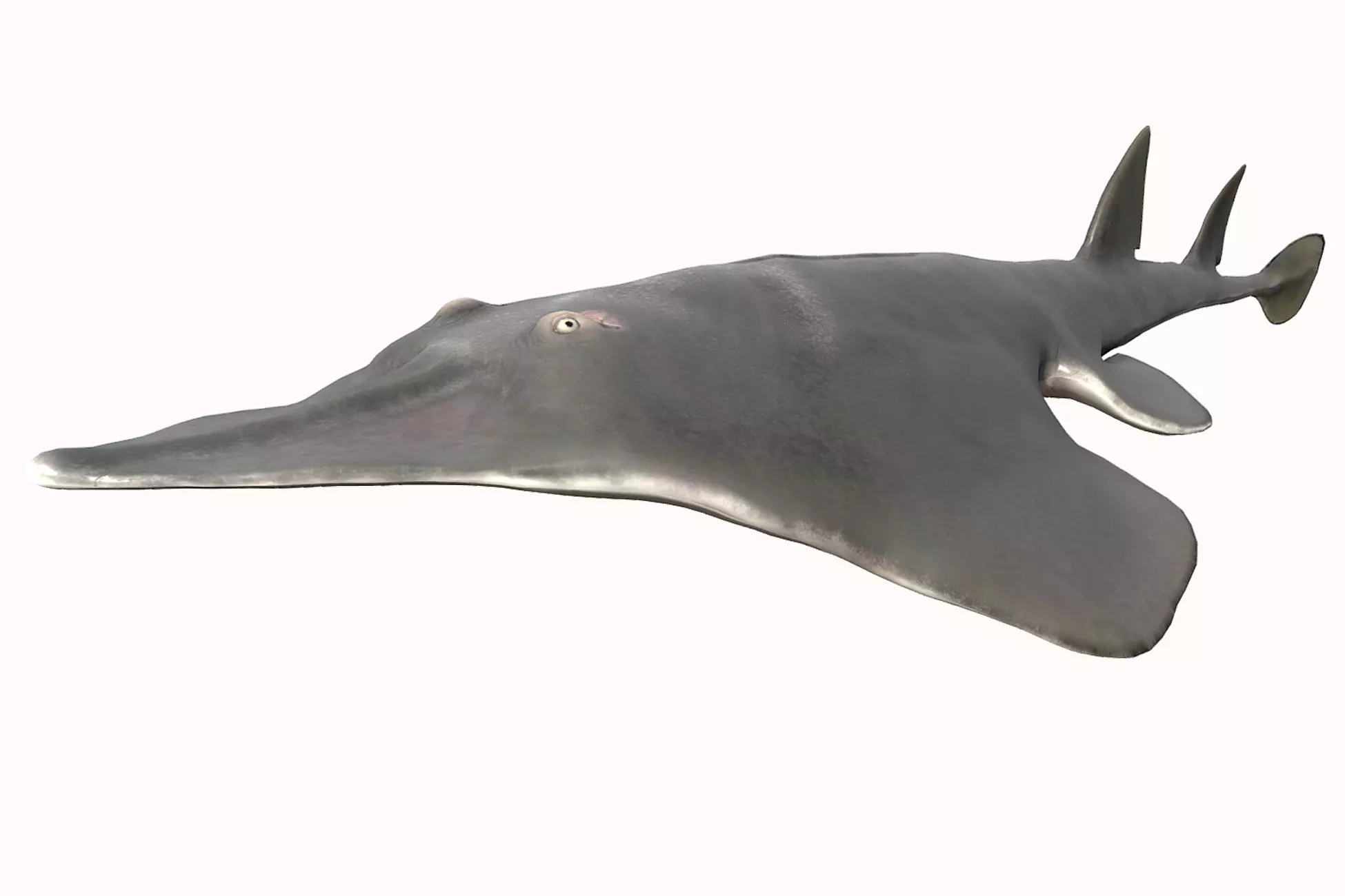 Guitar Stingray Low-poly 3D model_0