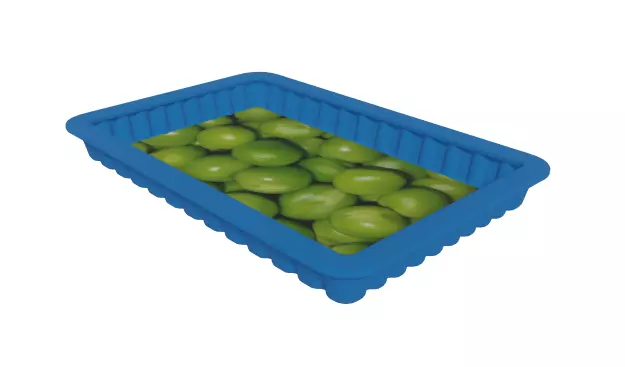 Marvelous Tray Low-poly 3D model_0