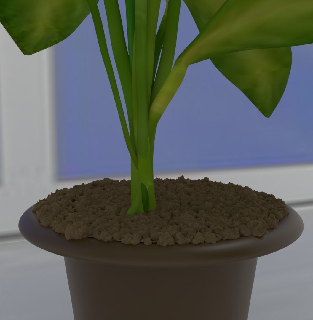 spathiphyllum flower with textures 3D model_2