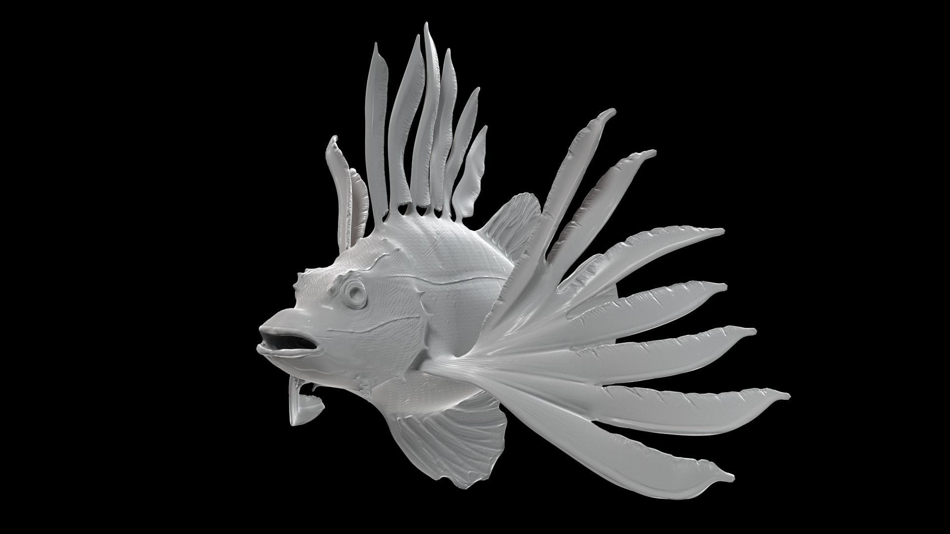 Lionfish 3D model_8