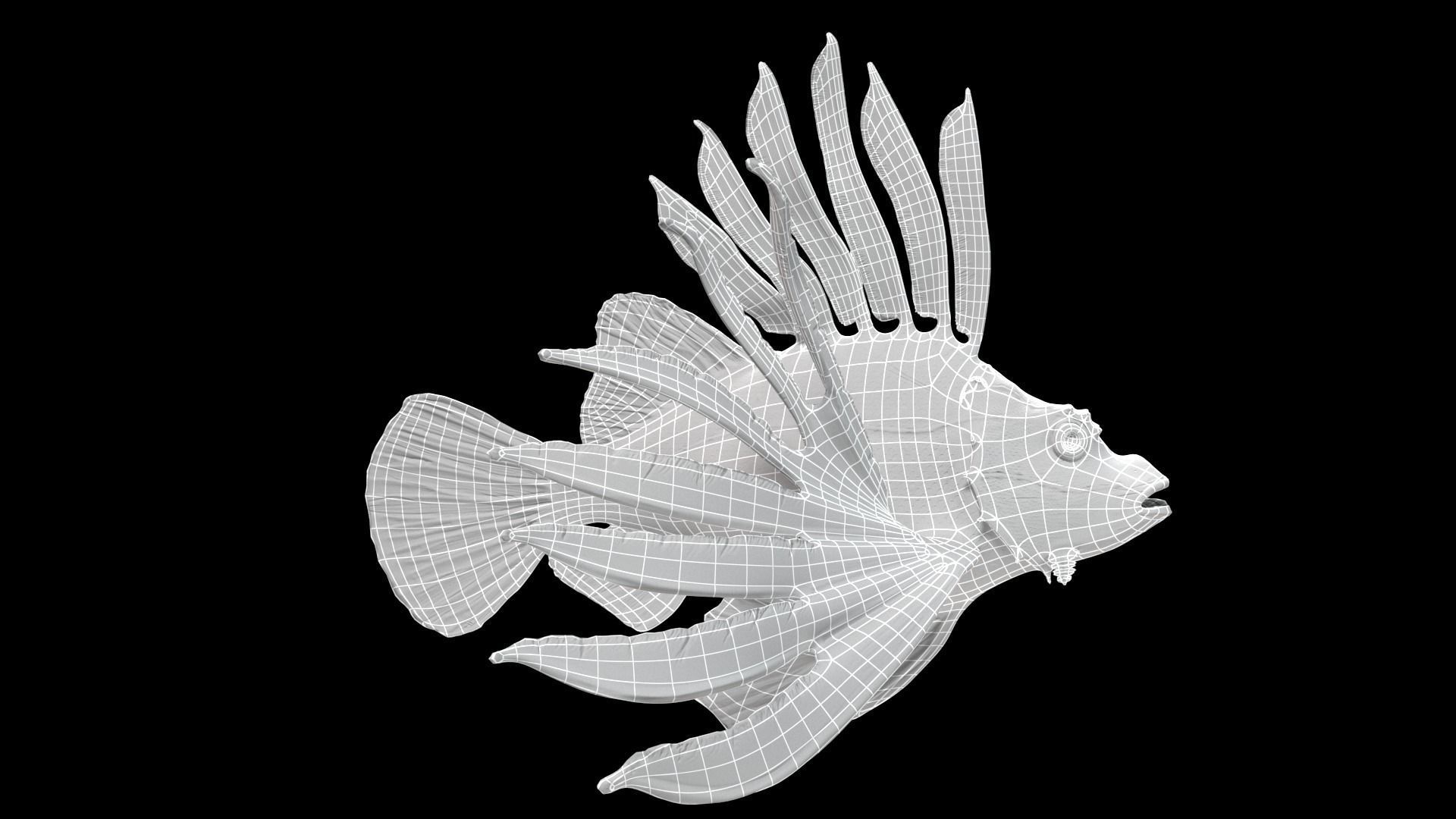 Lionfish 3D model_7