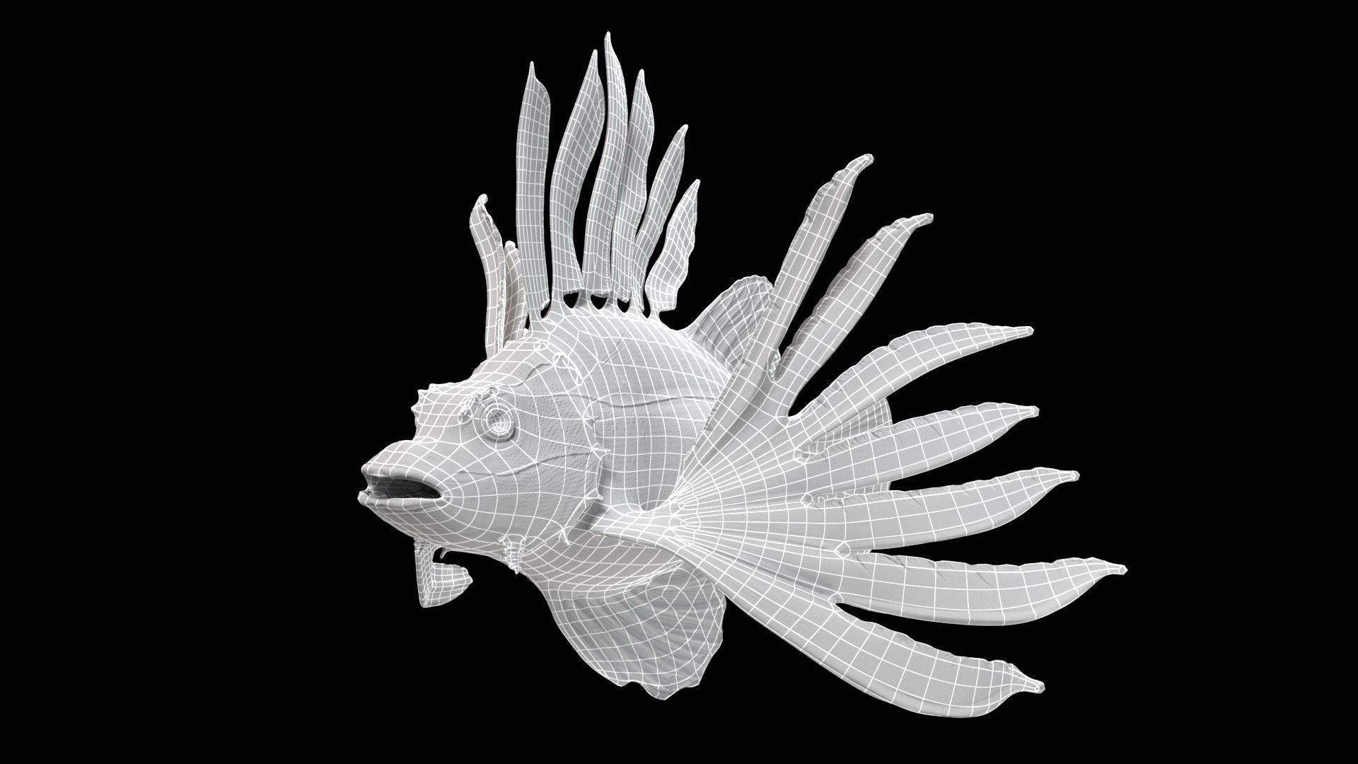 Lionfish 3D model_10