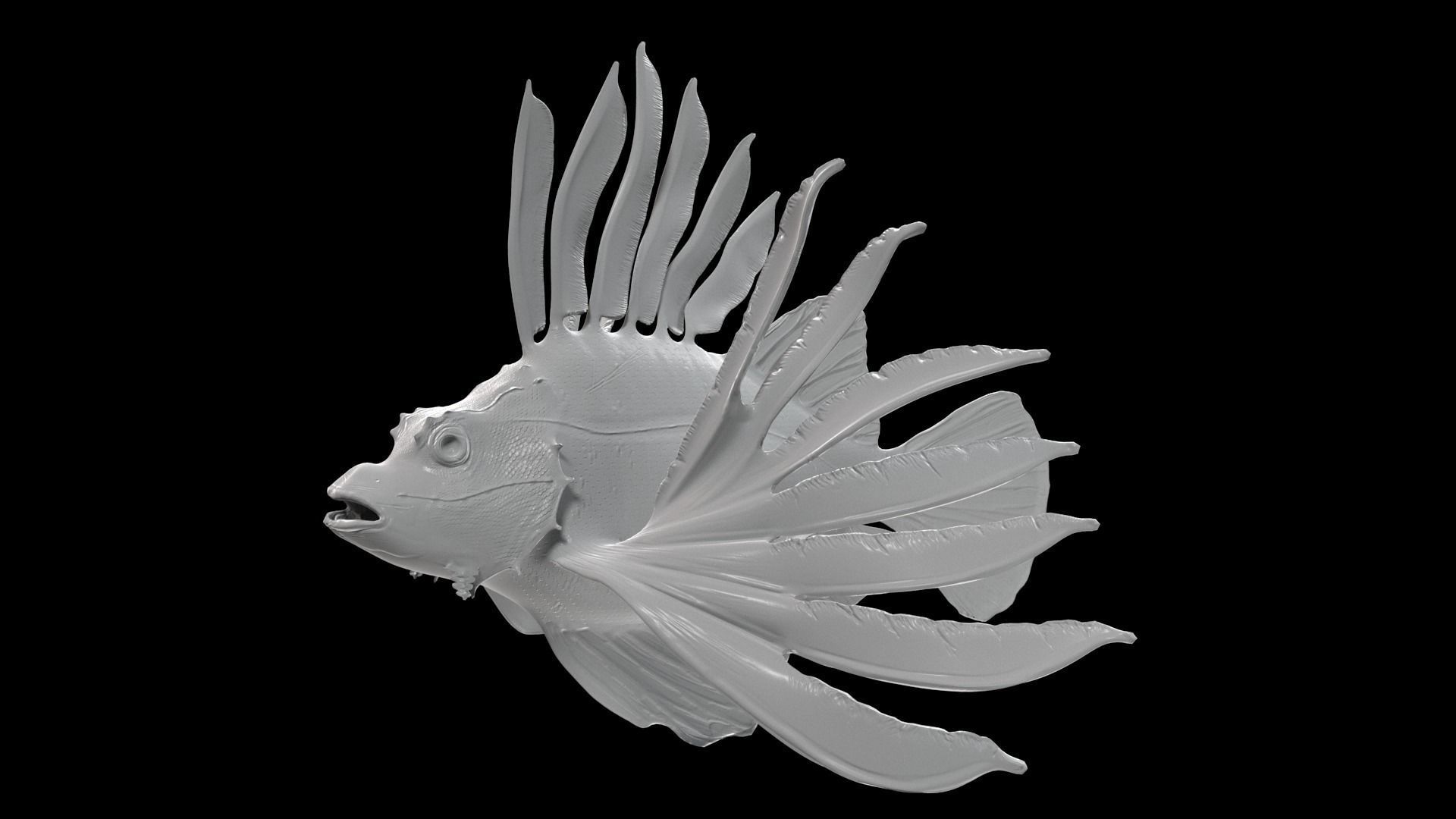 Lionfish 3D model_9