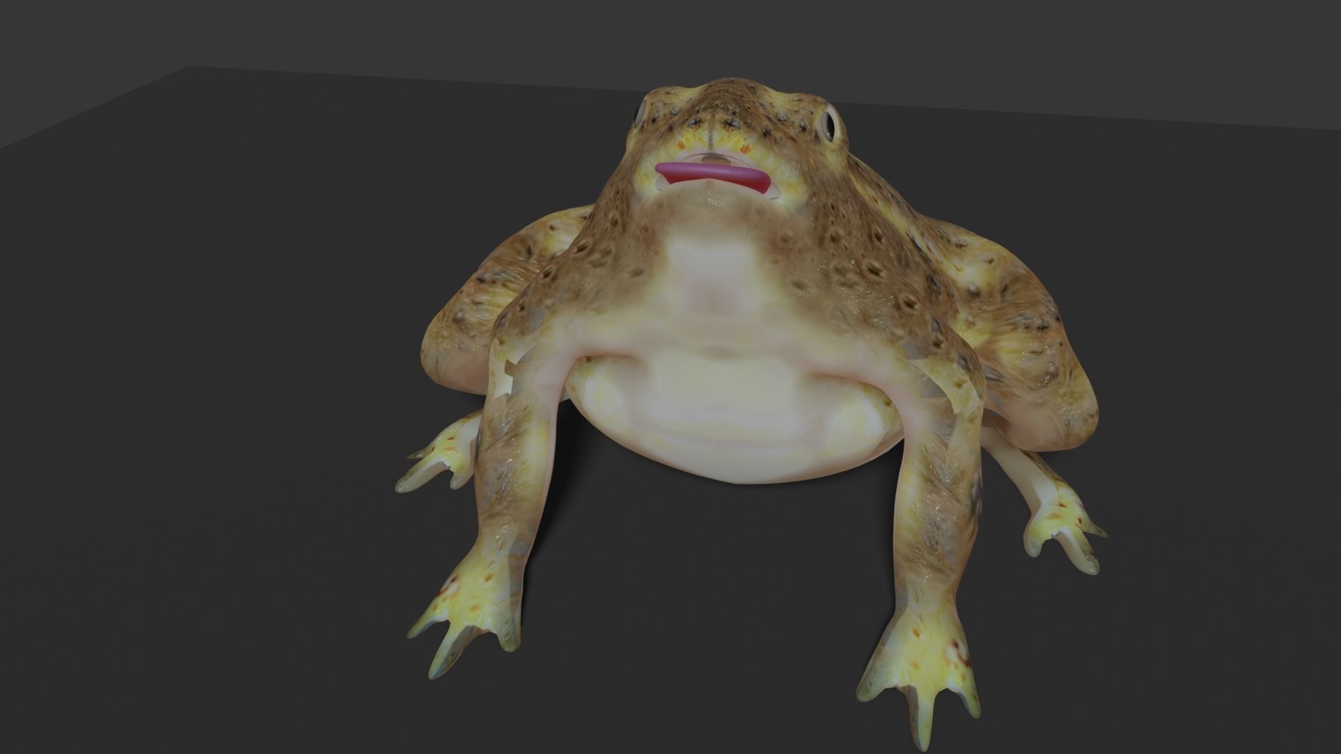toad 3d frog Low-poly 3D model_14