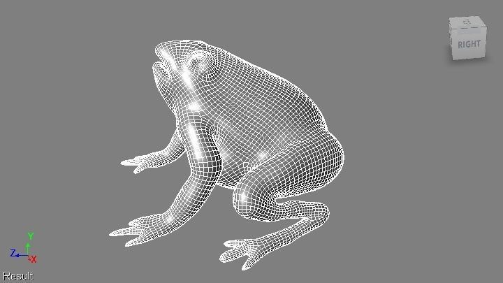toad 3d frog Low-poly 3D model_18