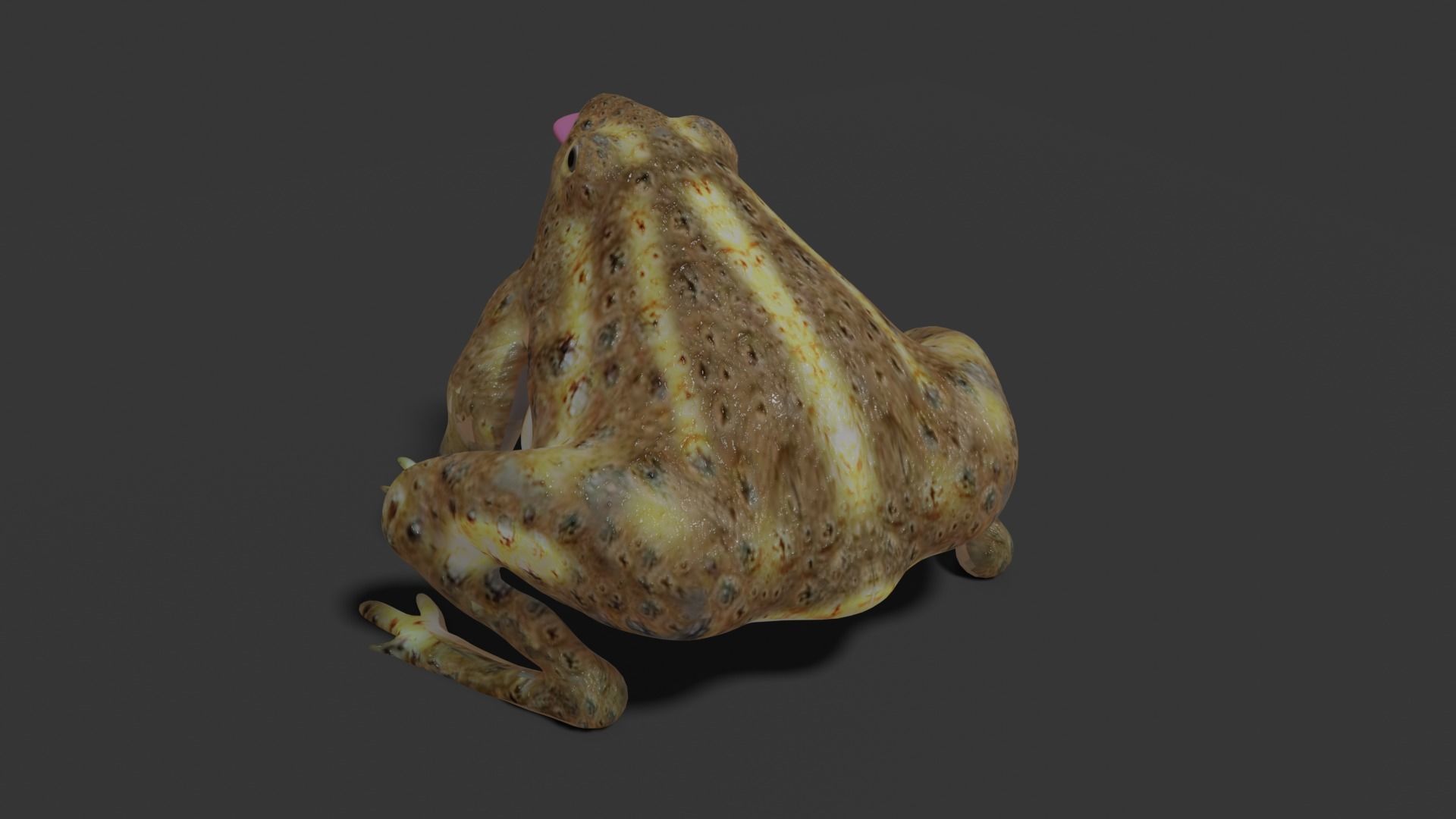 toad 3d frog Low-poly 3D model_2