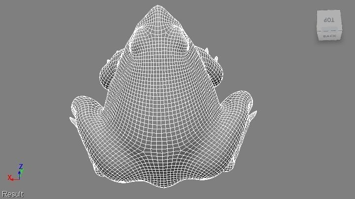 toad 3d frog Low-poly 3D model_15