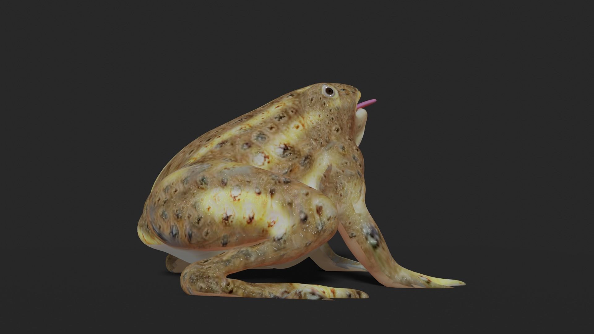 toad 3d frog Low-poly 3D model_7