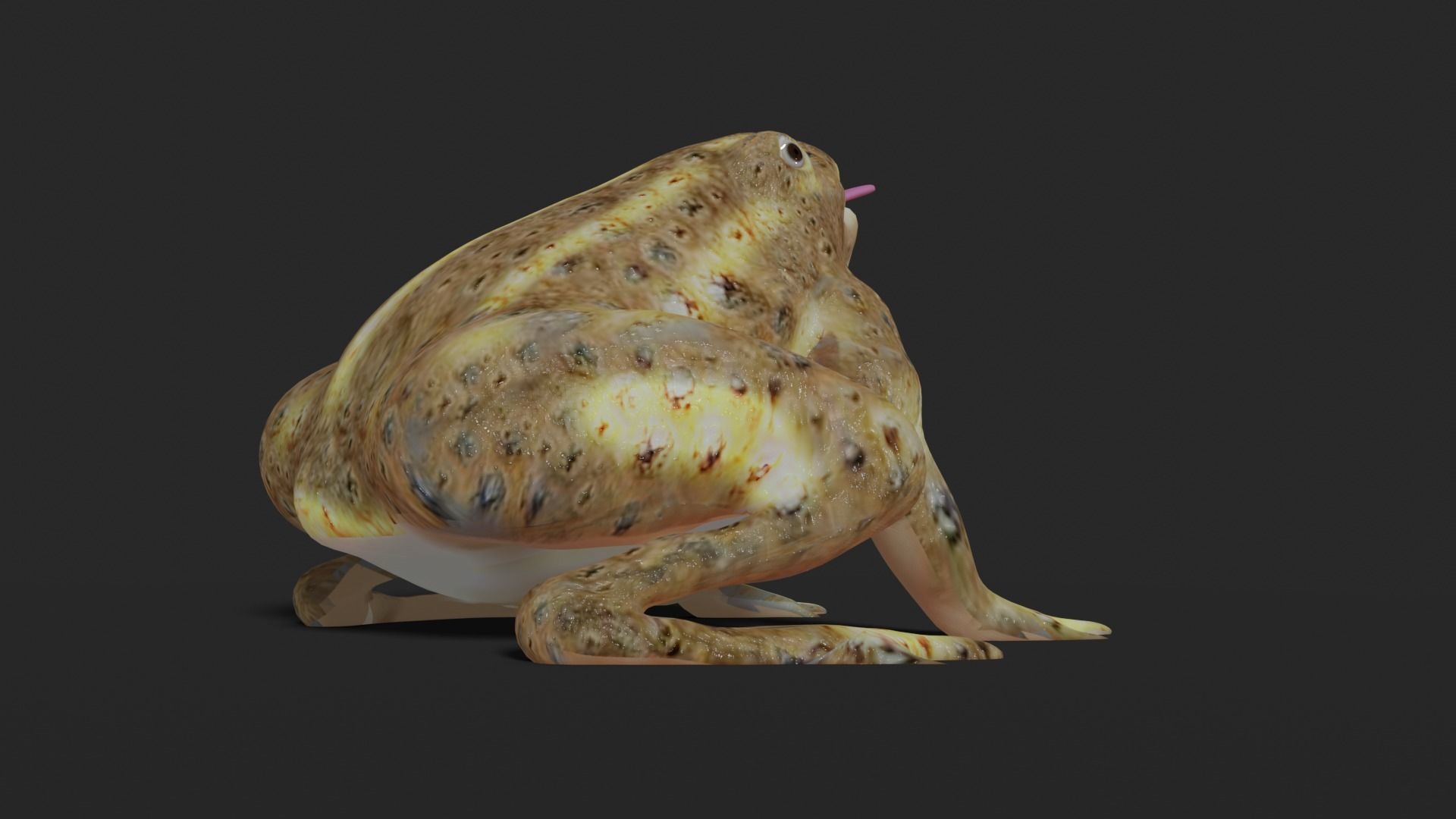 toad 3d frog Low-poly 3D model_8