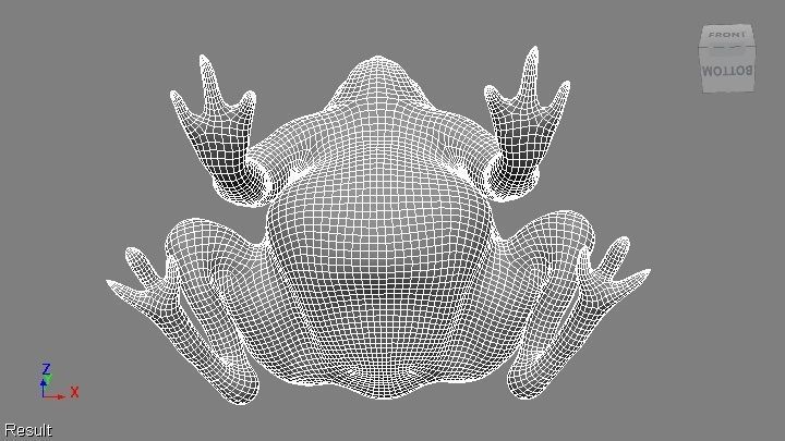 toad 3d frog Low-poly 3D model_19