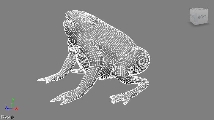 toad 3d frog Low-poly 3D model_9