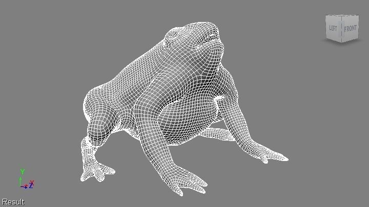 toad 3d frog Low-poly 3D model_23