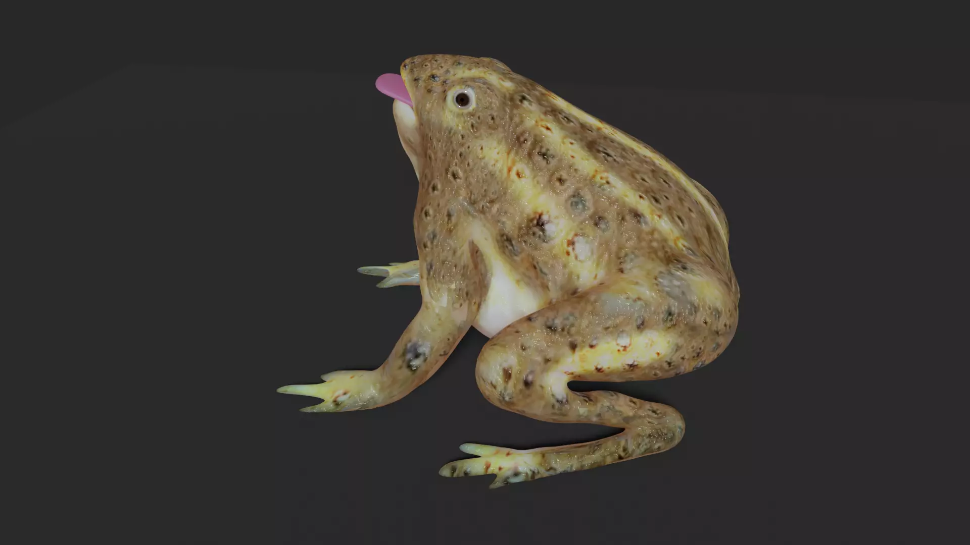 toad 3d frog Low-poly 3D model_0