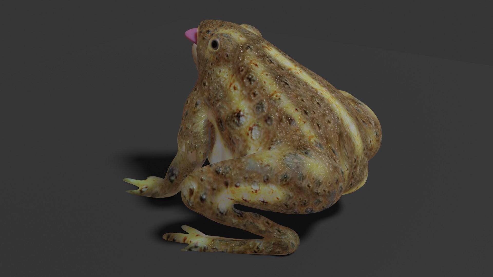 toad 3d frog Low-poly 3D model_4