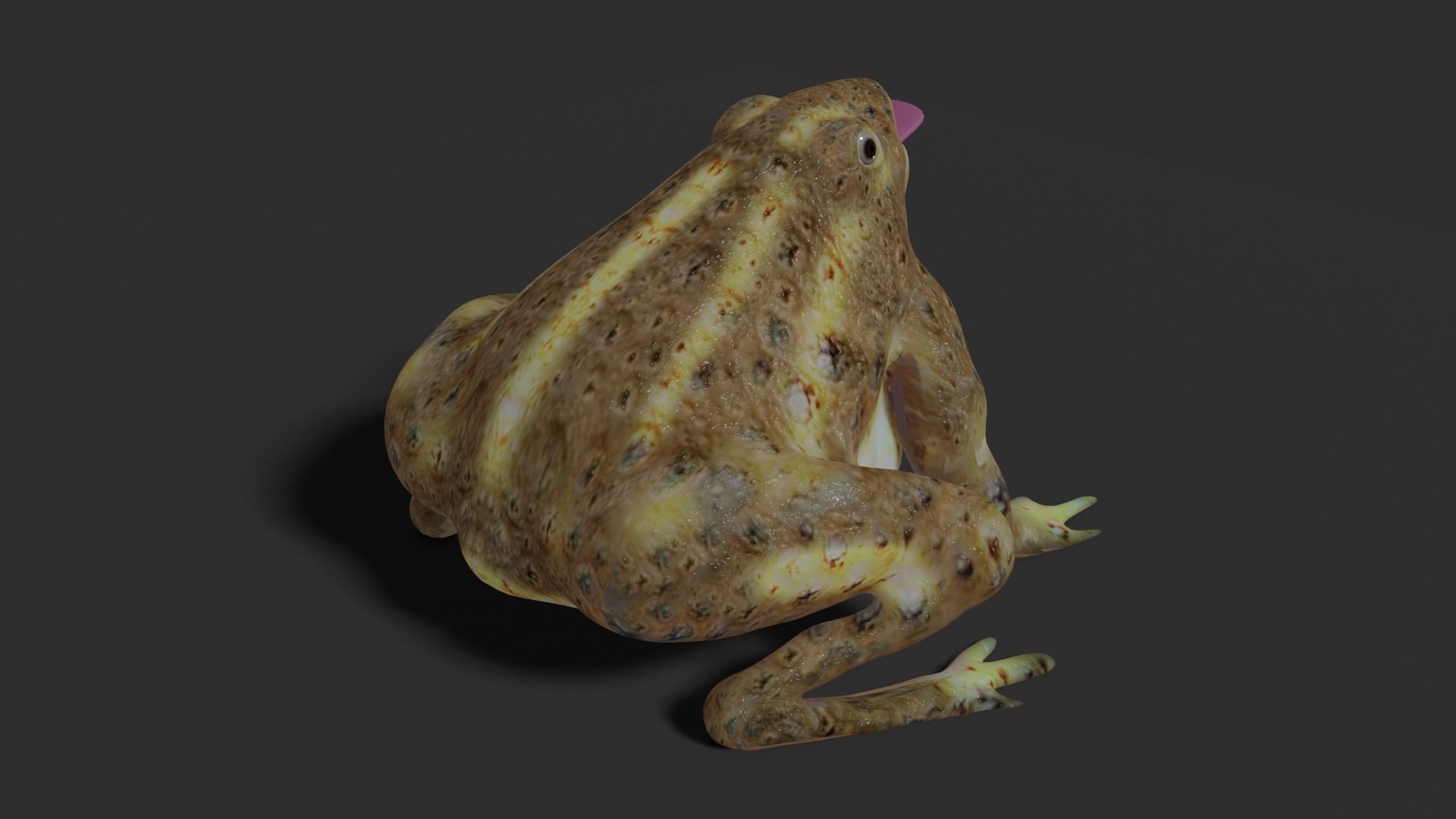 toad 3d frog Low-poly 3D model_22