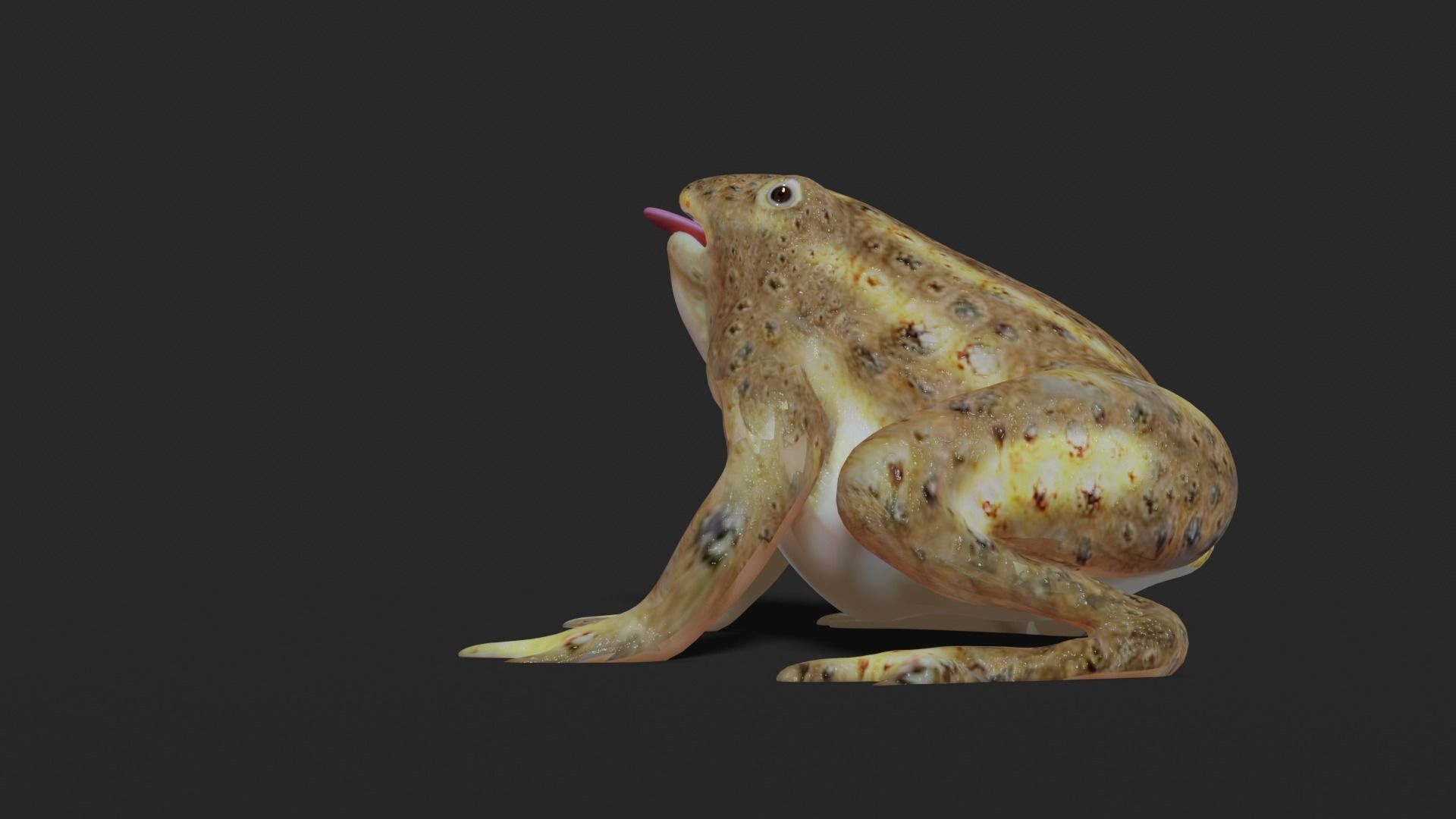 toad 3d frog Low-poly 3D model_5
