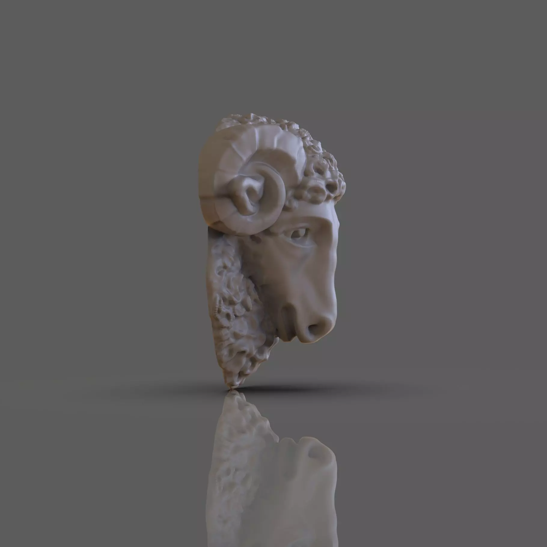 Golden fleece 3D print model_0