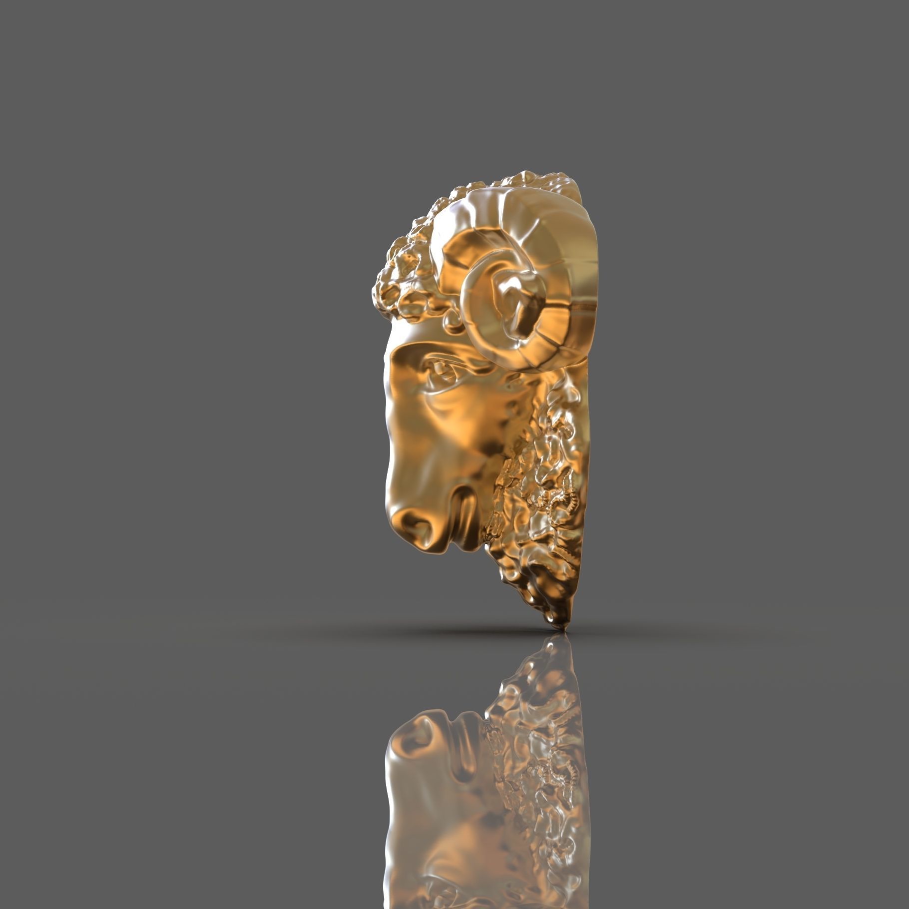 Golden fleece 3D print model_3