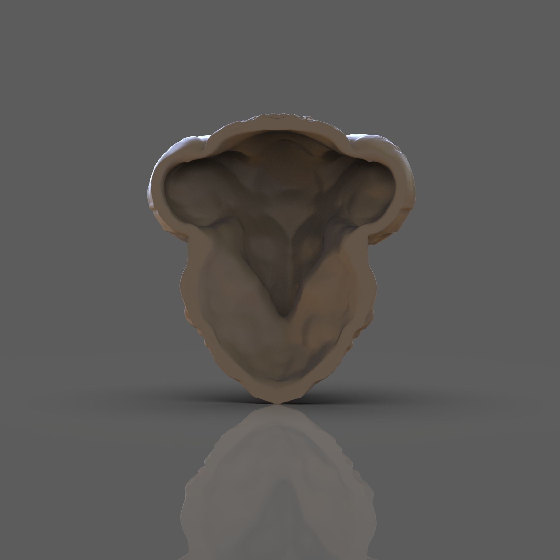 Golden fleece 3D print model_1