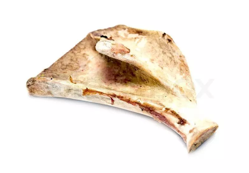 Pork Scapula 3D model