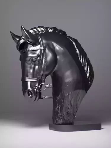 Horse Head Art 