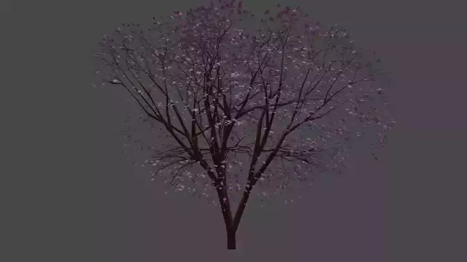 Cherry Tree Low poly