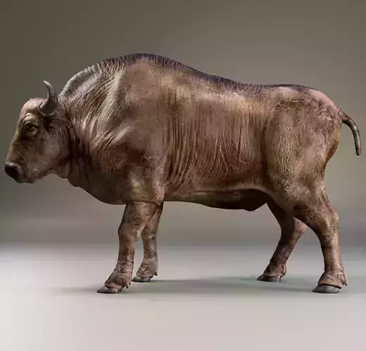 Bison I Game ready - Low-poly 3D model