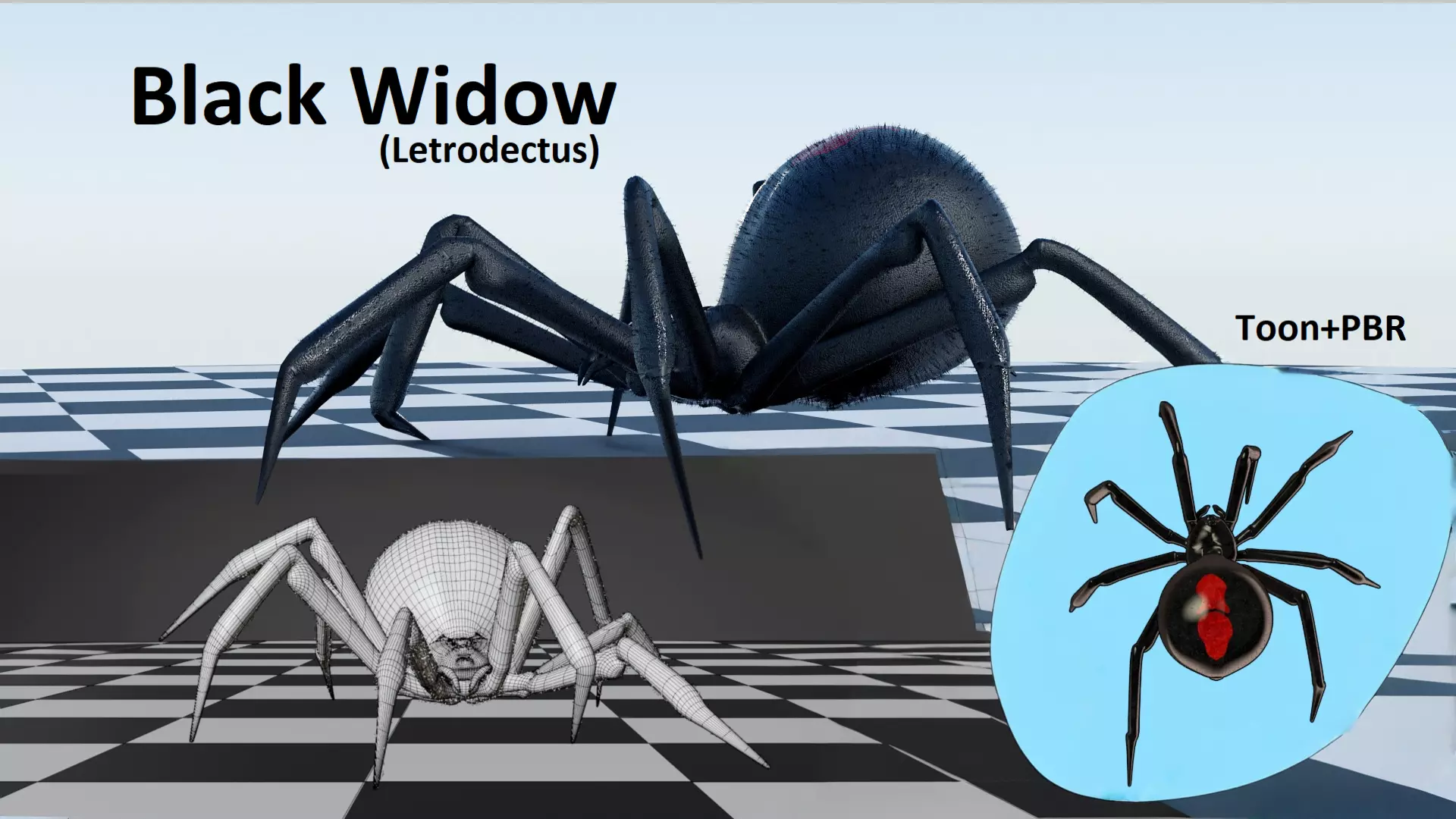 Black Widow - Latrodectus - Walk Cycle Low-poly 3D model