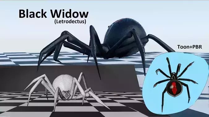 Black Widow - Latrodectus - Walk Cycle