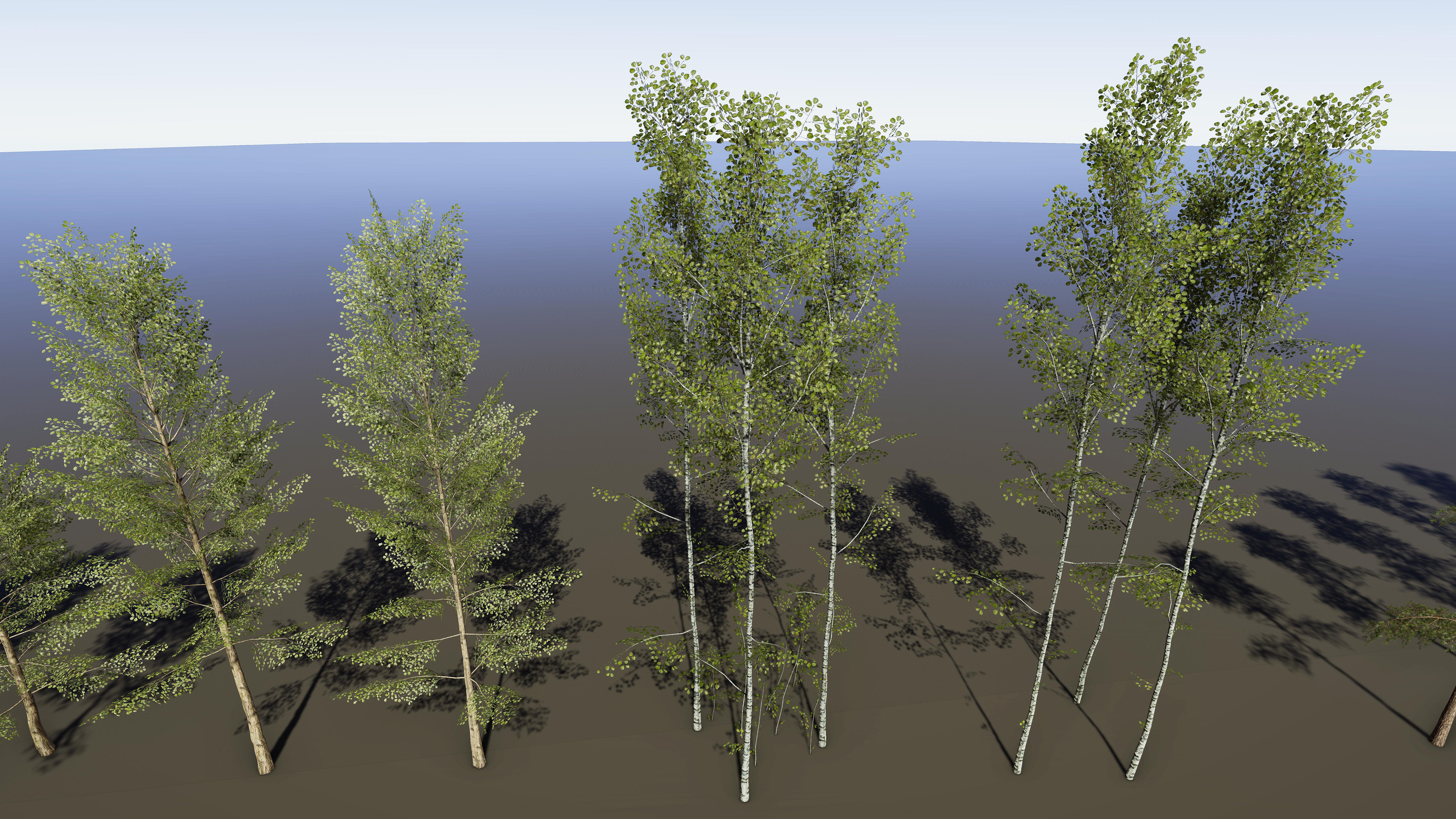 Nature Package - Coniferous Environment Unity Low-poly 3D model_28