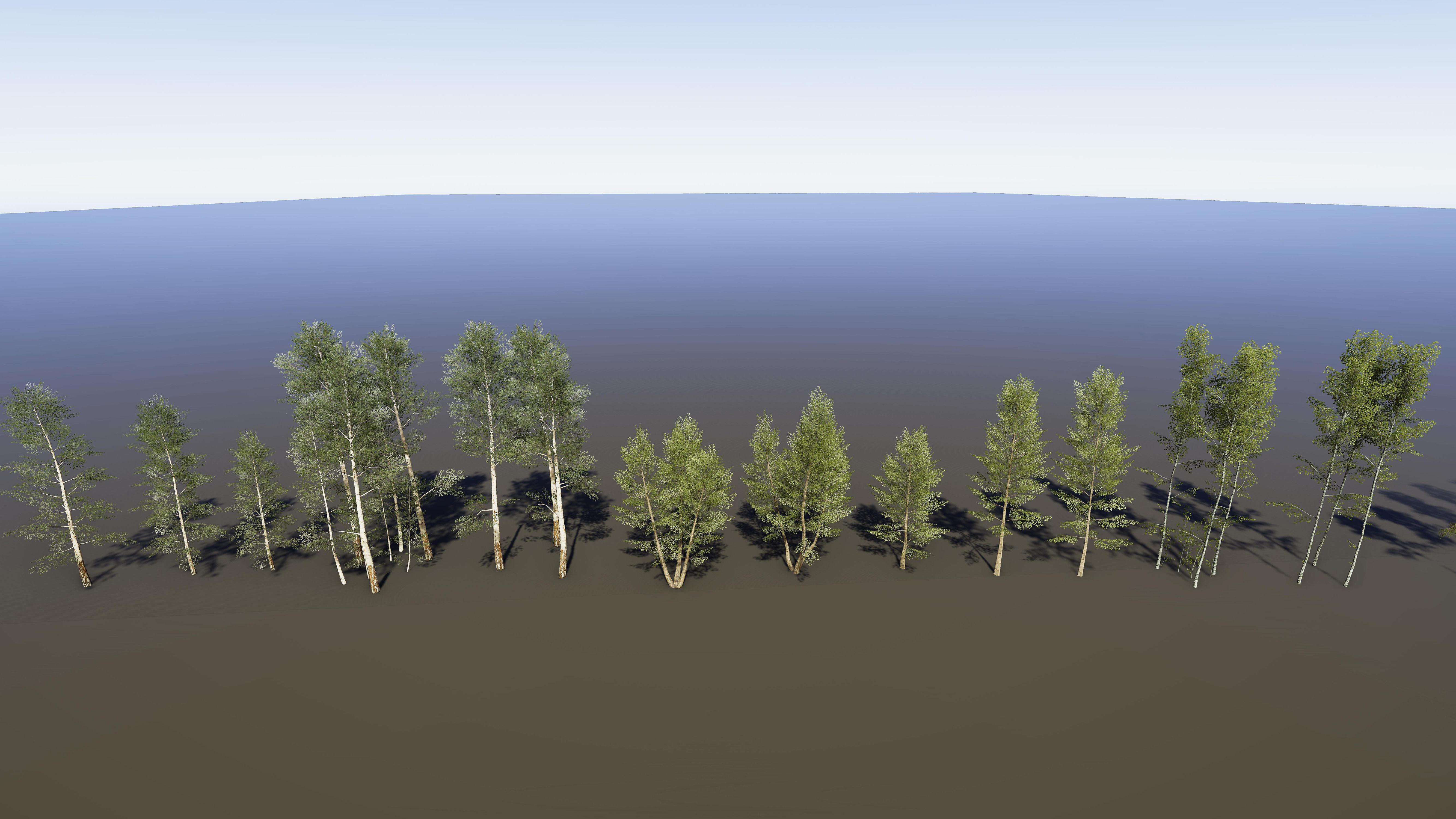 Nature Package - Coniferous Environment Unity Low-poly 3D model_20