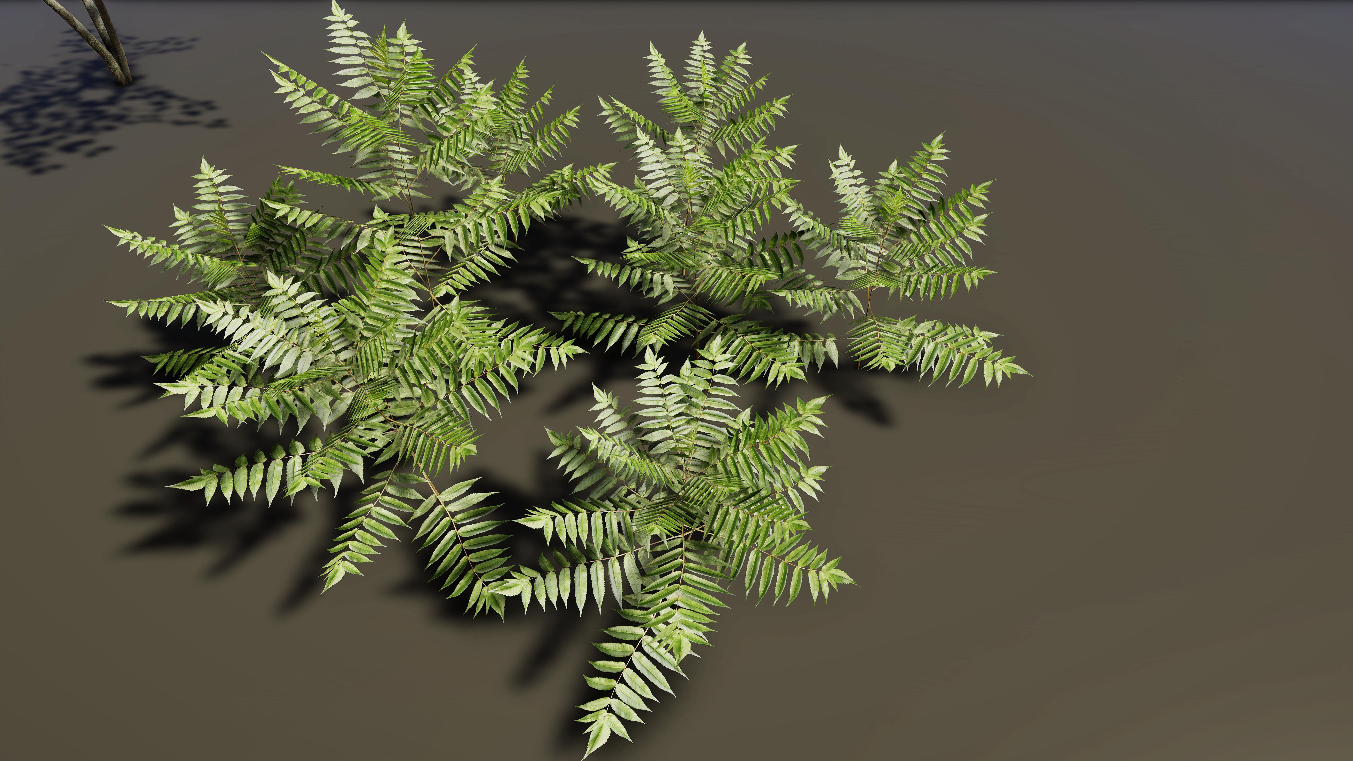 Nature Package - Coniferous Environment Unity Low-poly 3D model_45