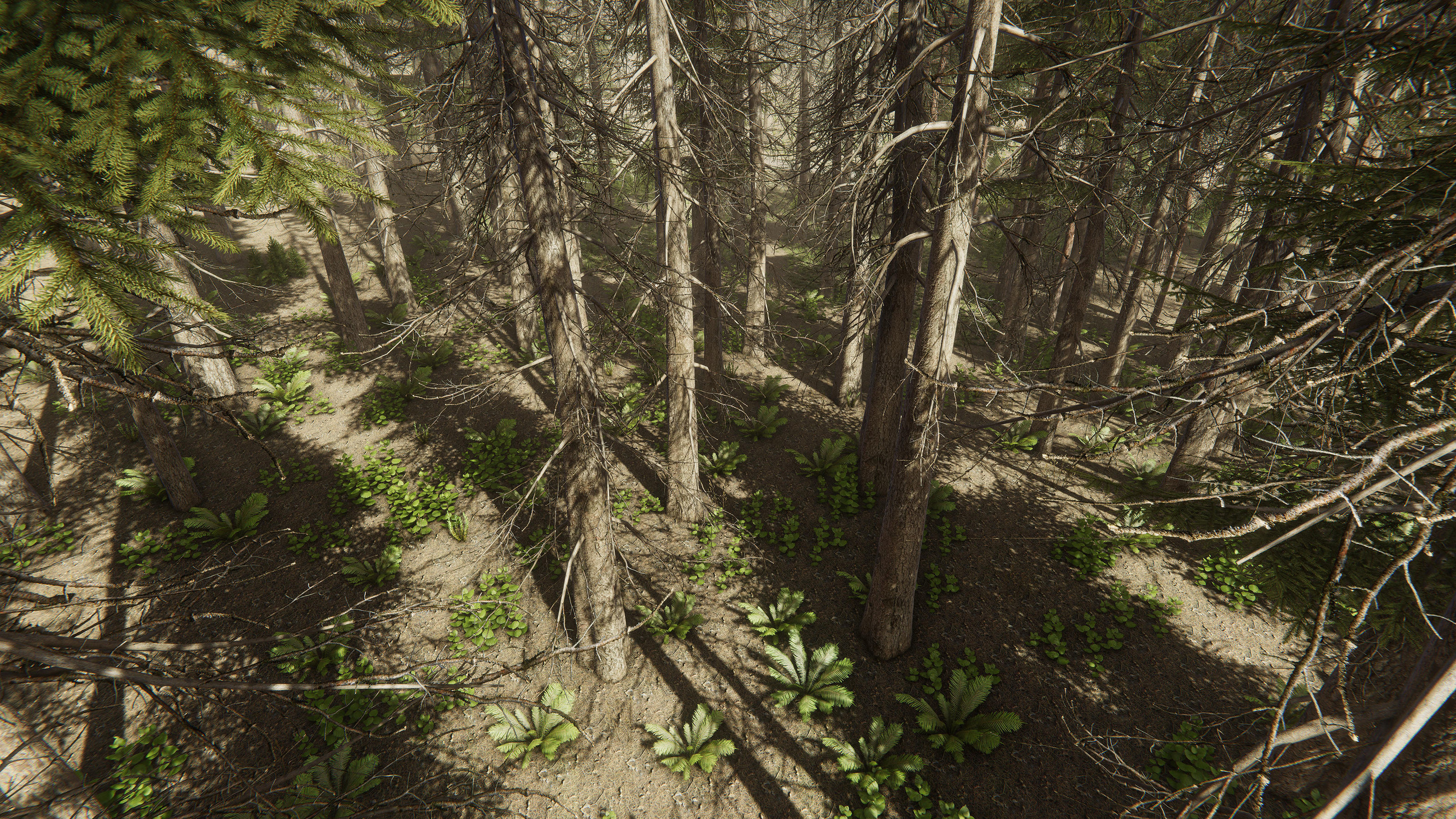 Nature Package - Coniferous Environment Unity Low-poly 3D model_13