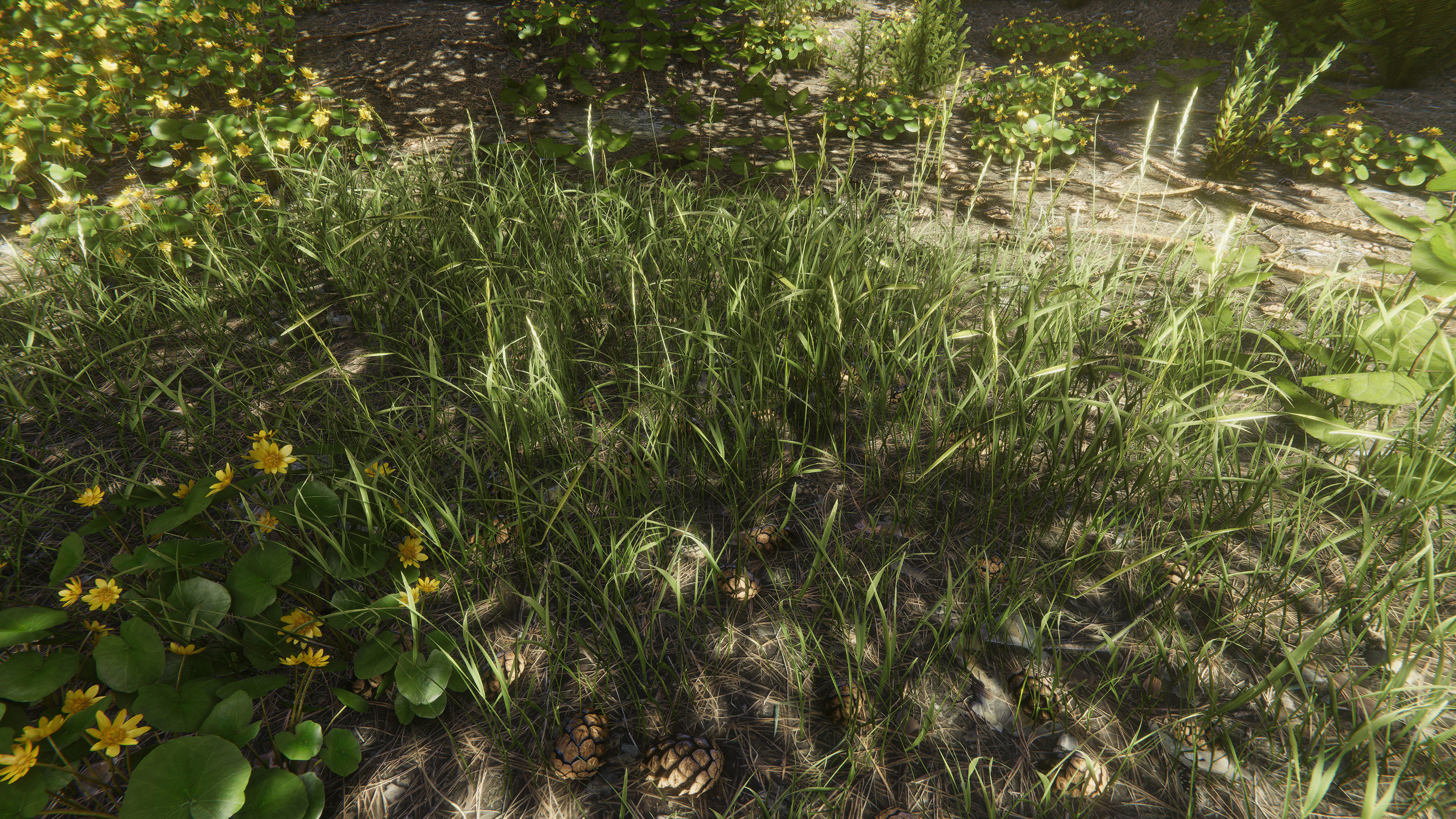 Nature Package - Coniferous Environment Unity Low-poly 3D model_4