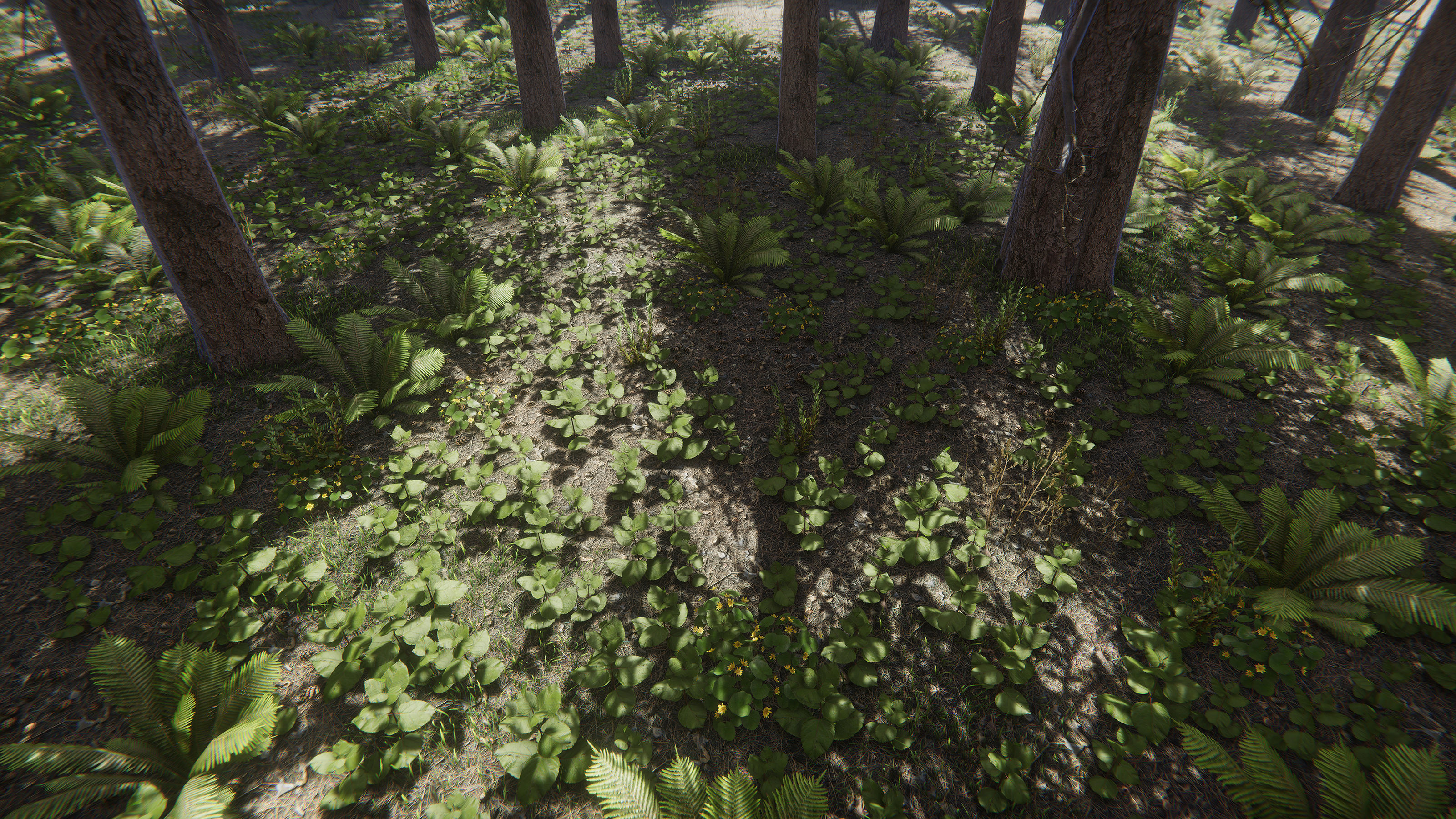 Nature Package - Coniferous Environment Unity Low-poly 3D model_9