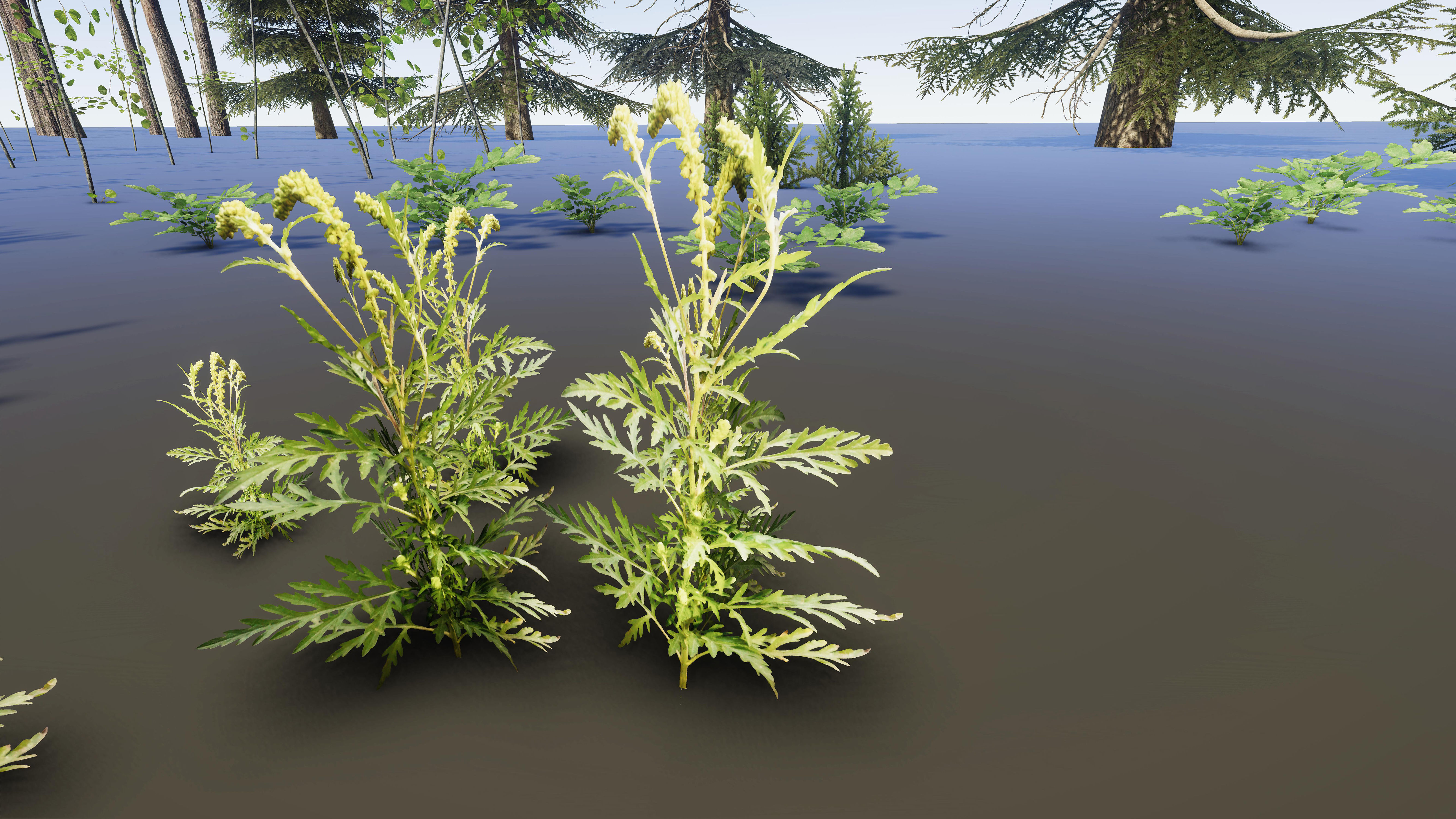 Nature Package - Coniferous Environment Unity Low-poly 3D model_47
