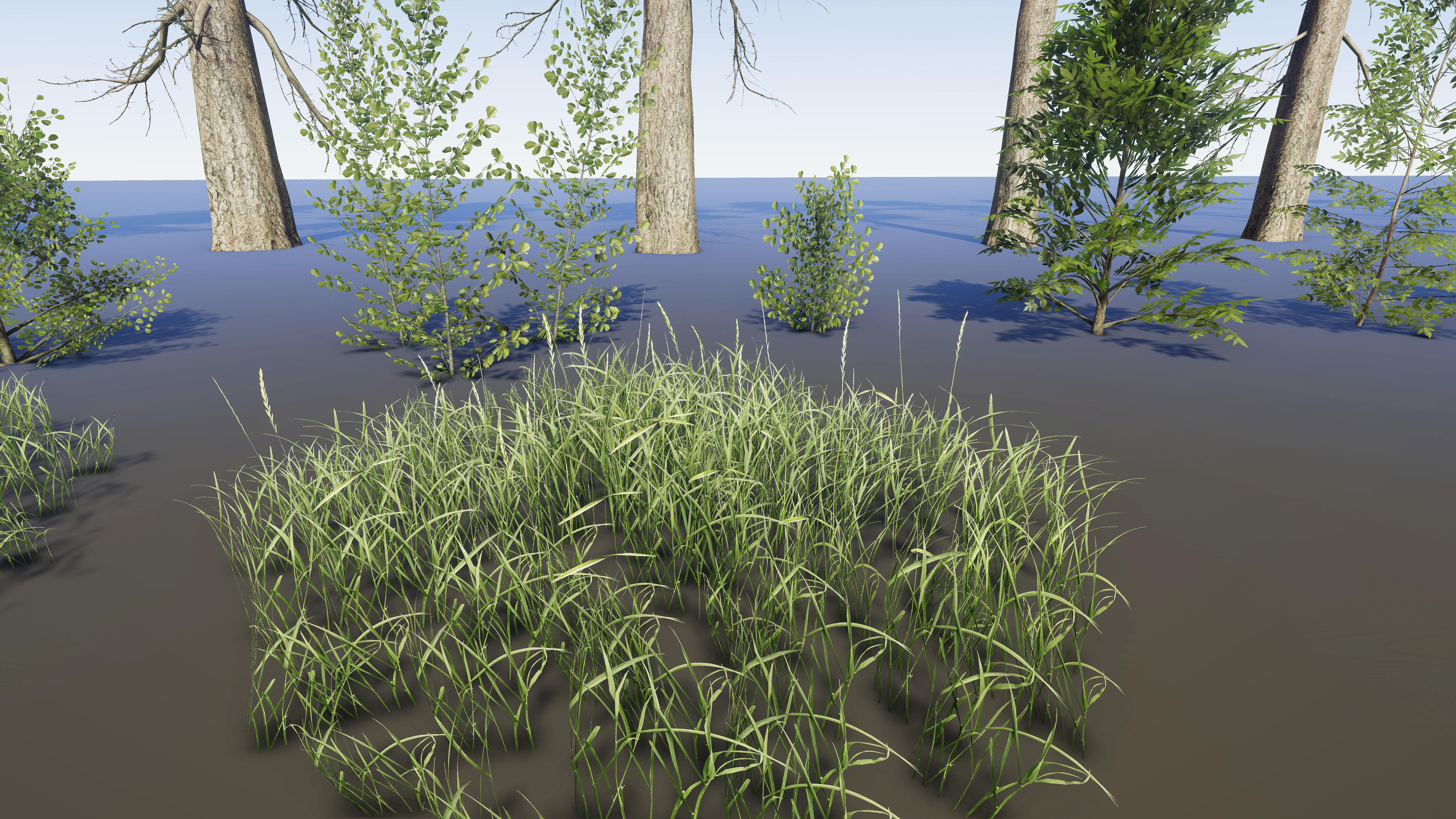 Nature Package - Coniferous Environment Unity Low-poly 3D model_39