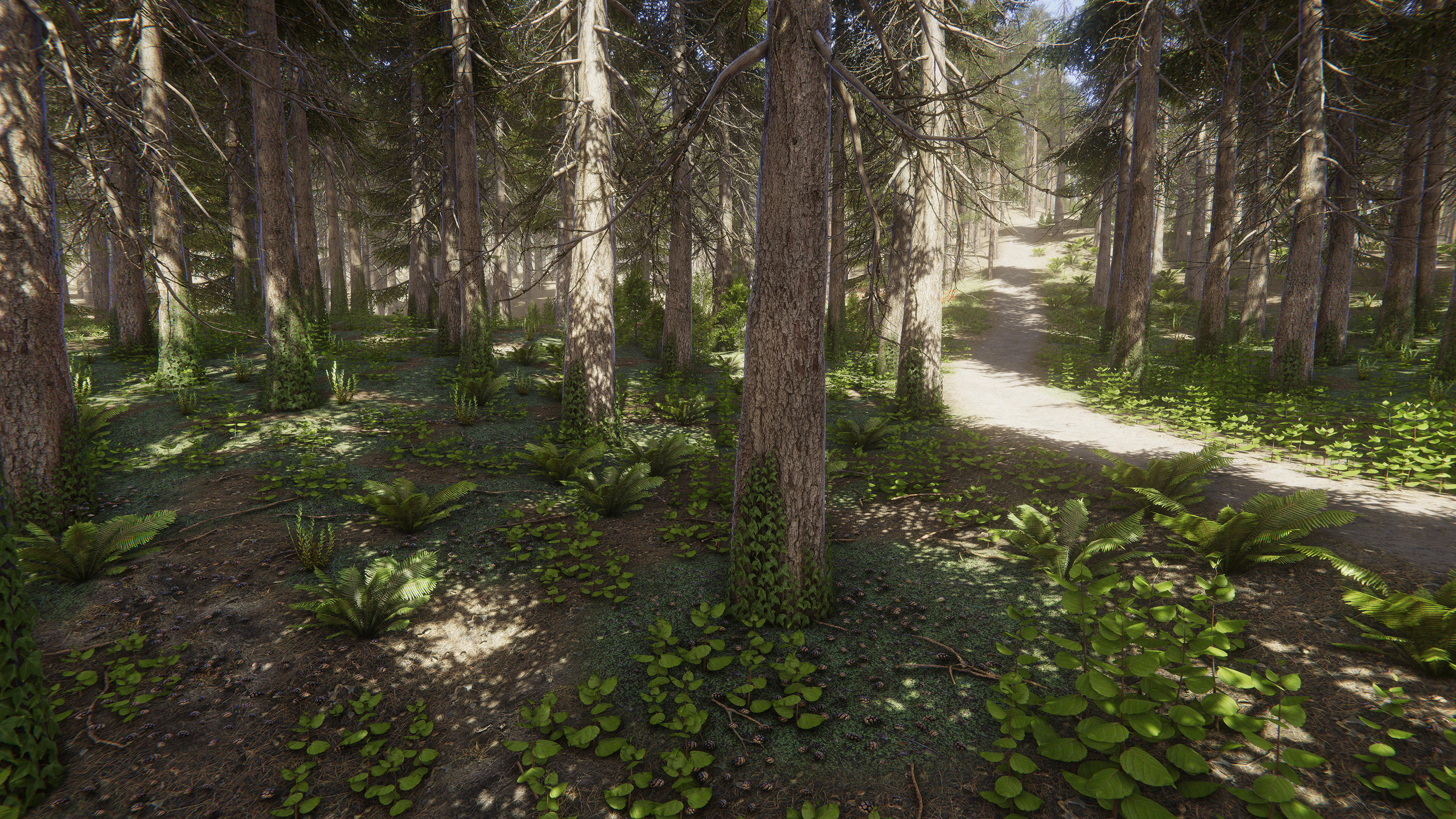 Nature Package - Coniferous Environment Unity Low-poly 3D model_3