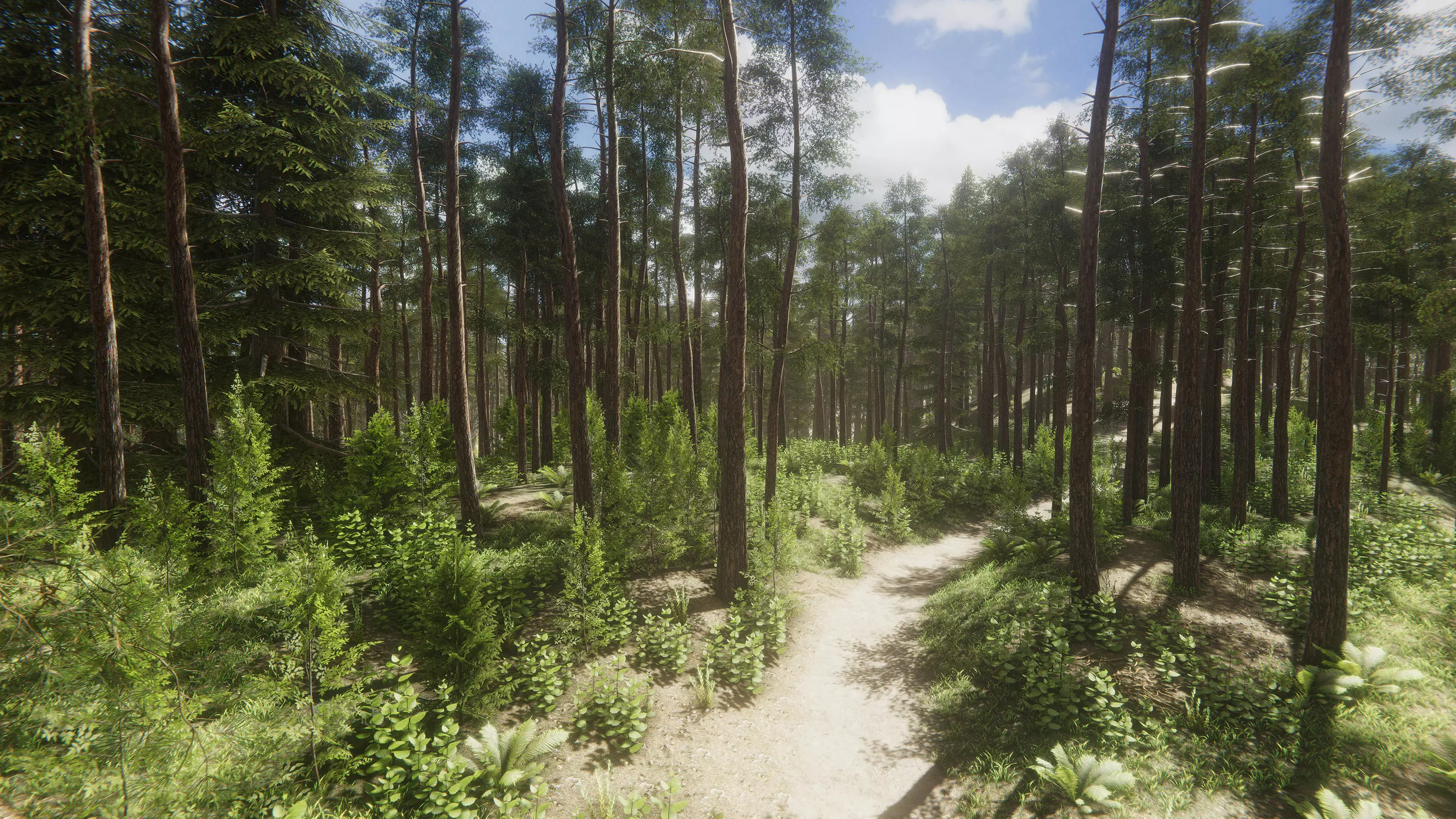 Nature Package - Coniferous Environment Unity Low-poly 3D model_0