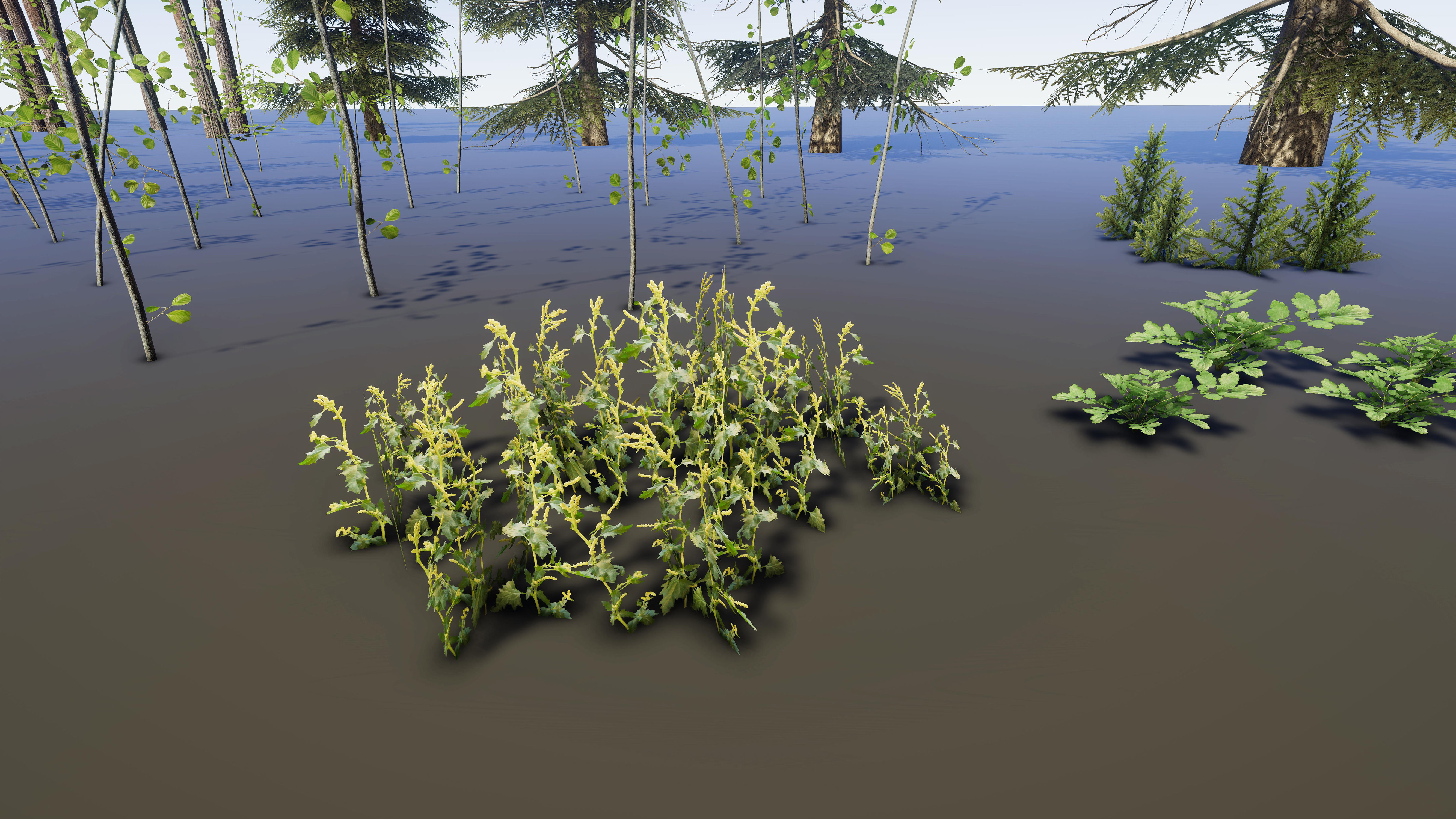 Nature Package - Coniferous Environment Unity Low-poly 3D model_50