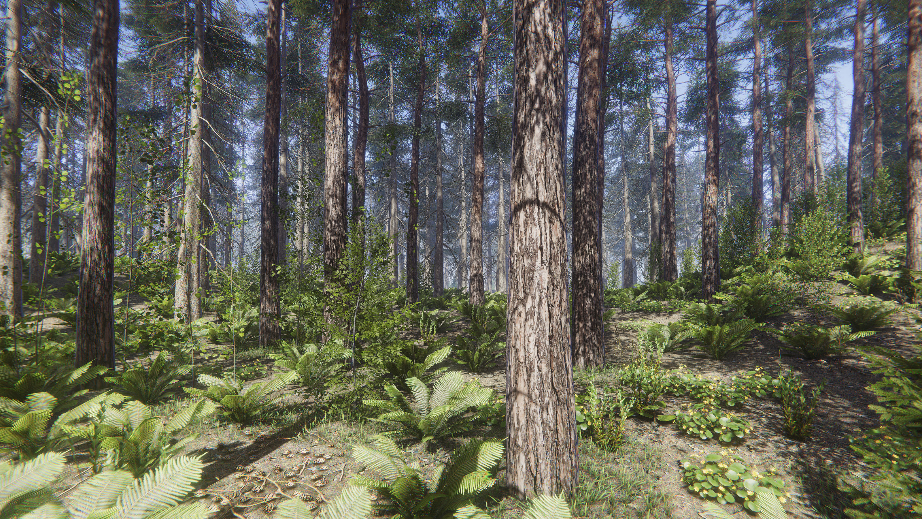 Nature Package - Coniferous Environment Unity Low-poly 3D model_7